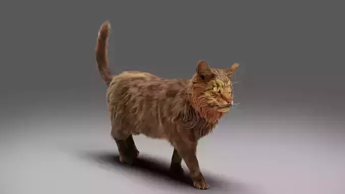 Fur Cat Grey Rigged