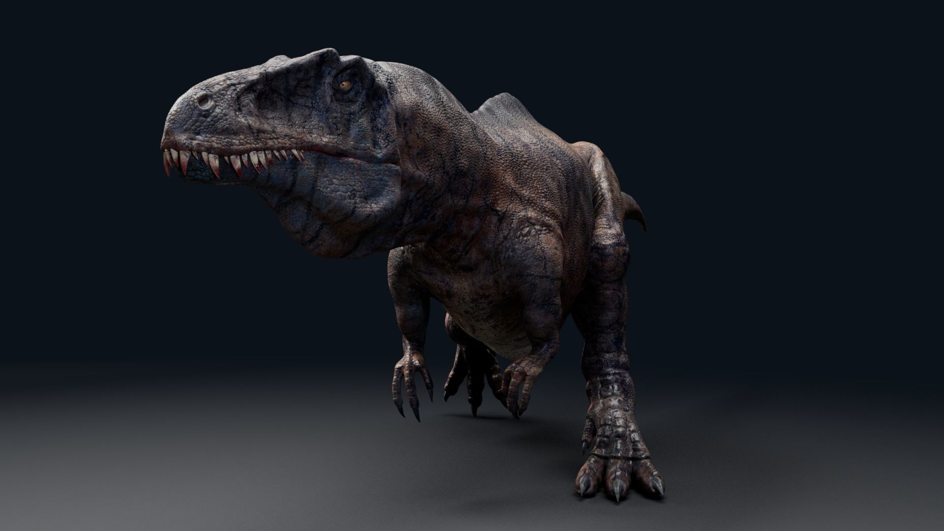 Dinosaur Acrocanthosaurus  Real Dinosaurs Series Low-poly 3D model_4