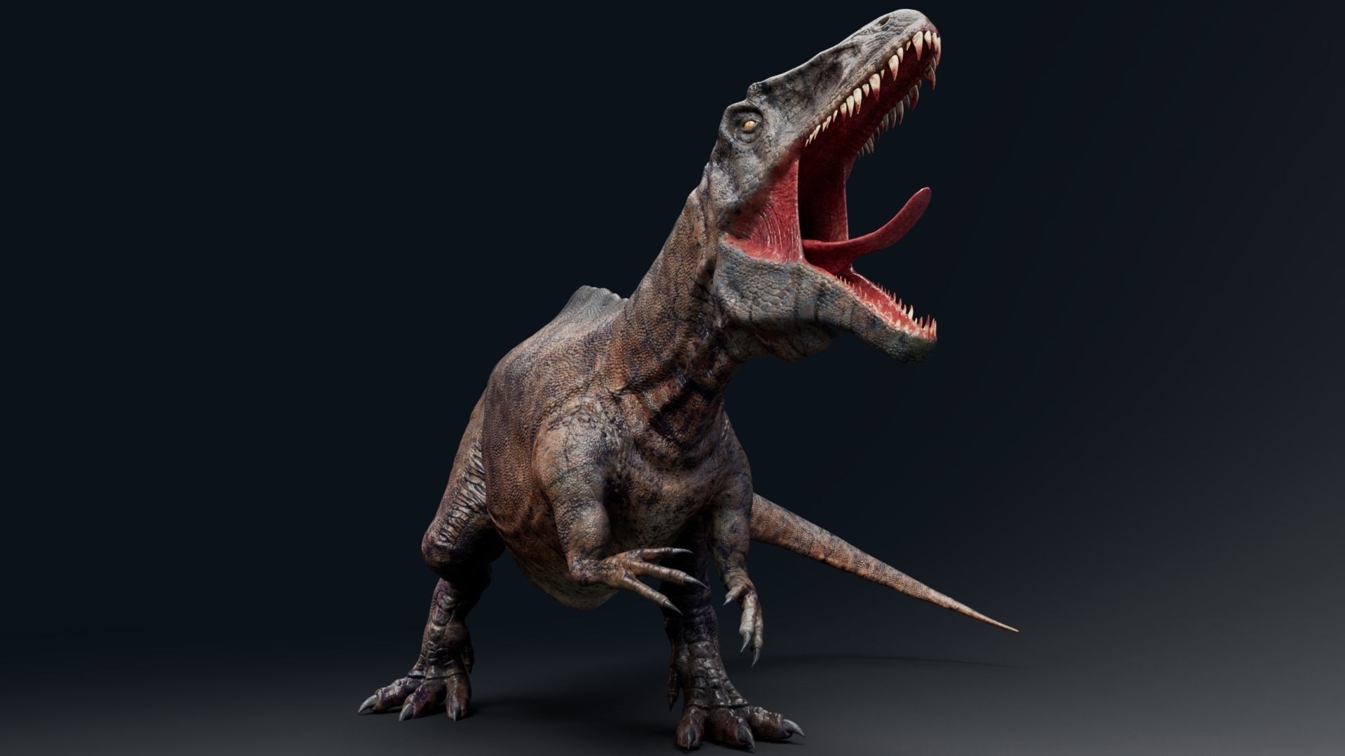 Dinosaur Acrocanthosaurus  Real Dinosaurs Series Low-poly 3D model_11