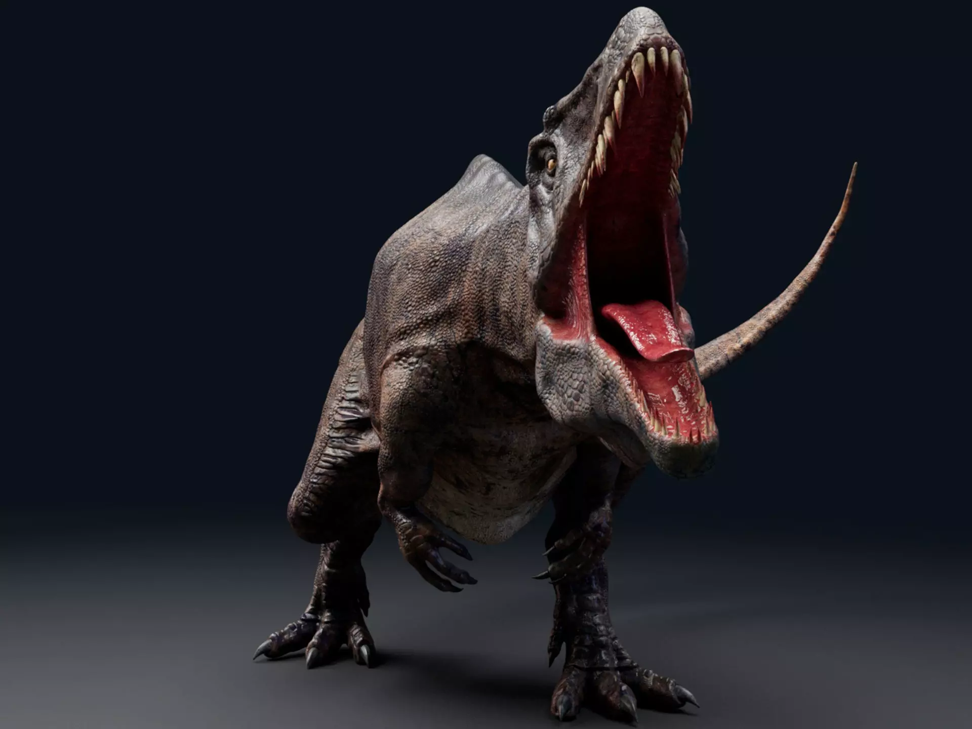 Dinosaur Acrocanthosaurus  Real Dinosaurs Series Low-poly 3D model_0
