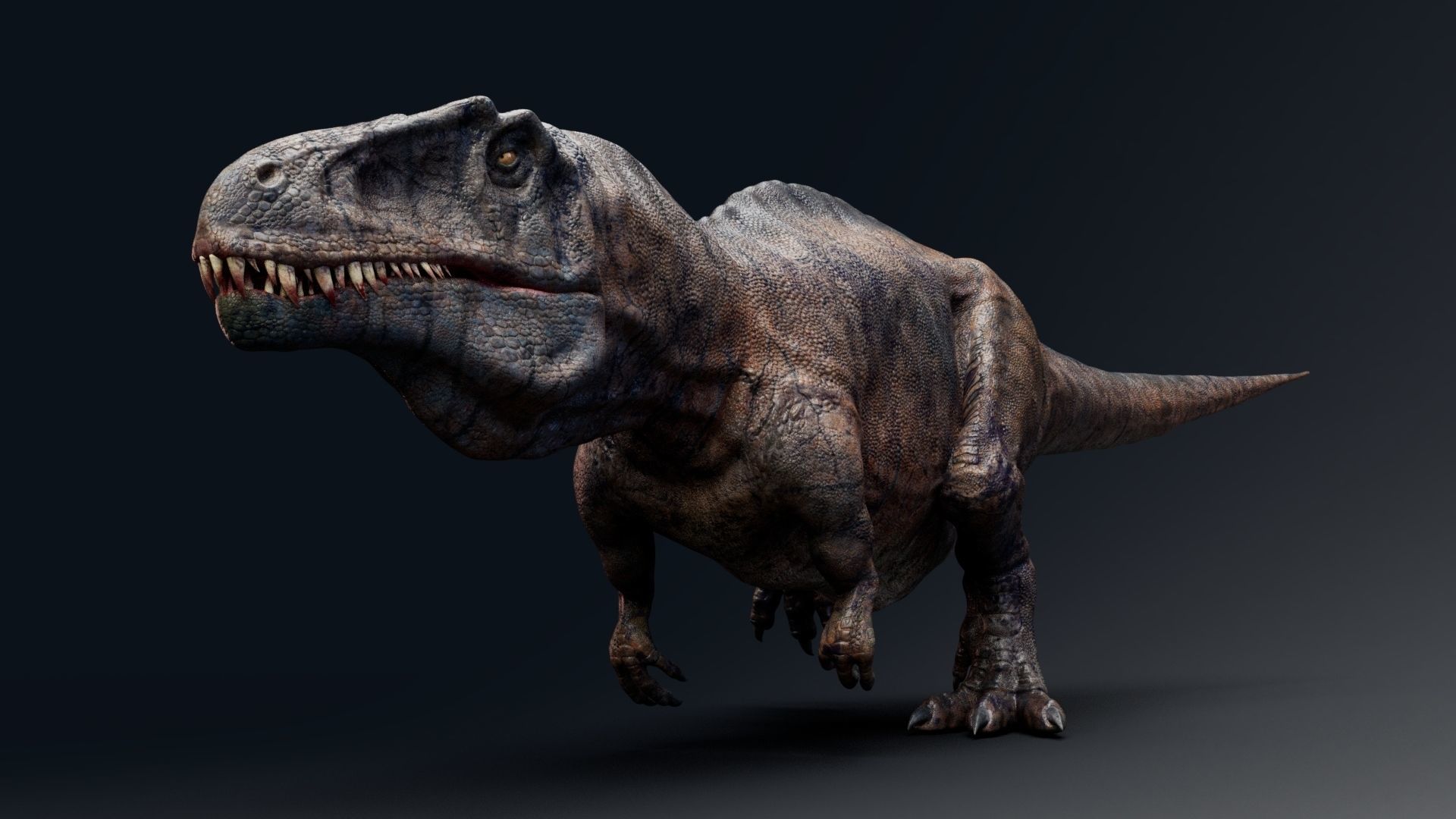 Dinosaur Acrocanthosaurus  Real Dinosaurs Series Low-poly 3D model_3