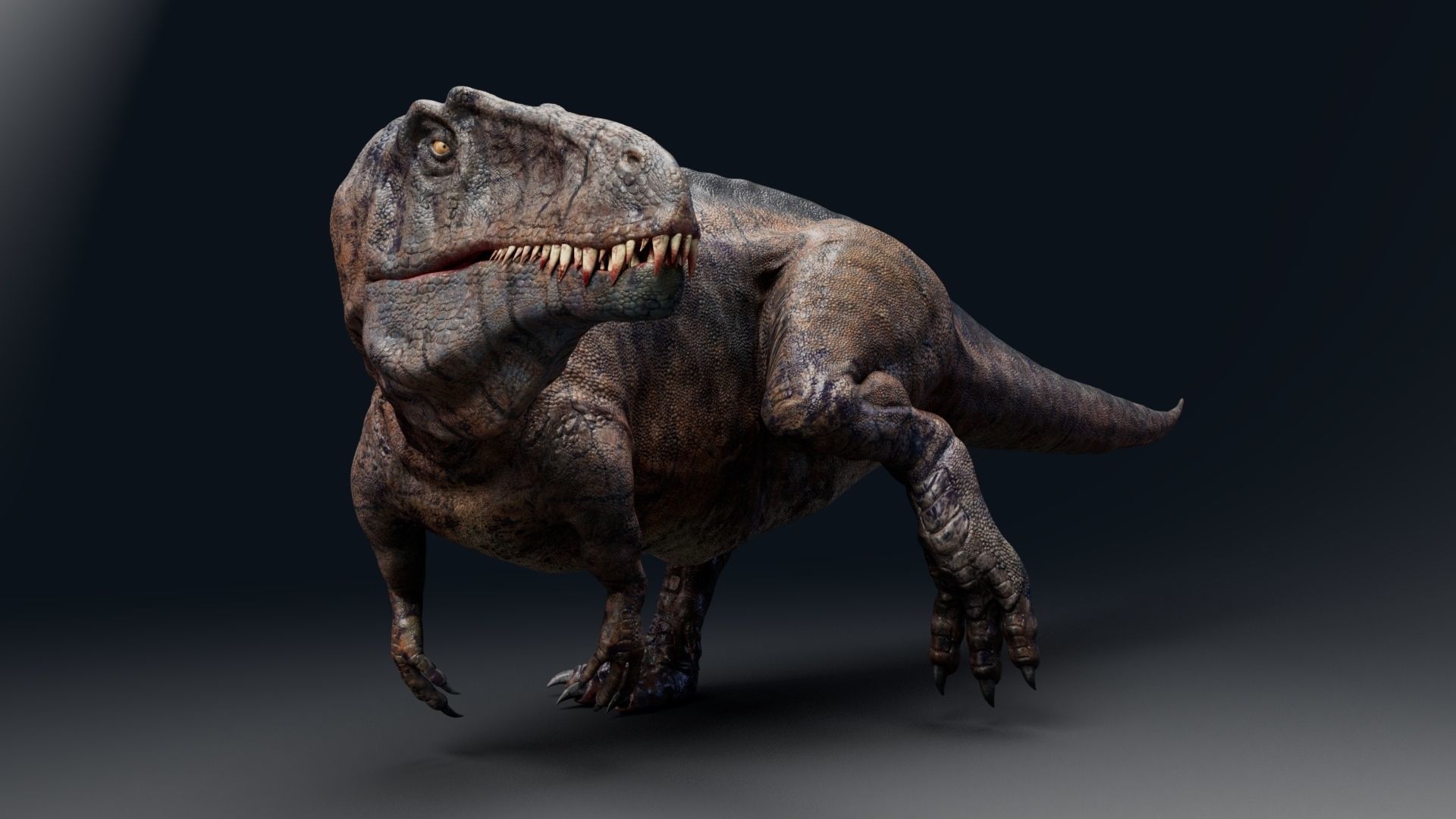 Dinosaur Acrocanthosaurus  Real Dinosaurs Series Low-poly 3D model_21