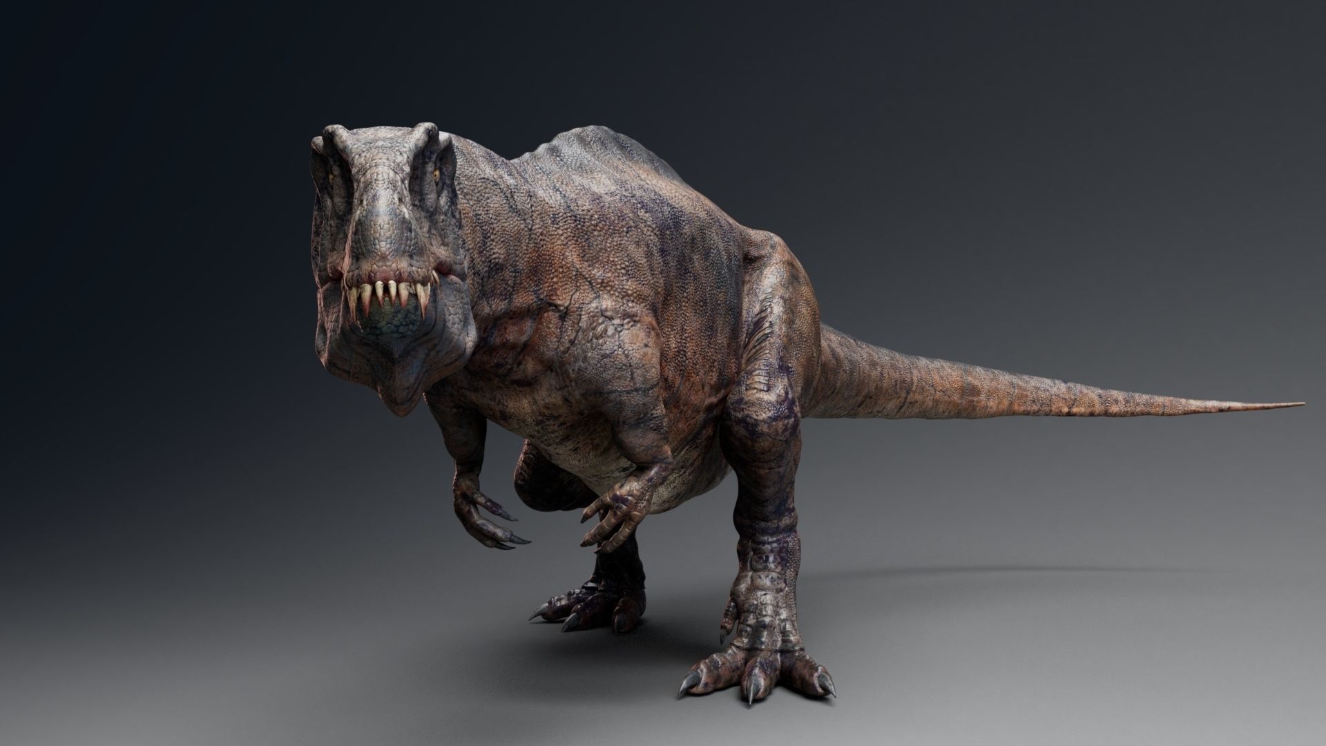 Dinosaur Acrocanthosaurus  Real Dinosaurs Series Low-poly 3D model_14