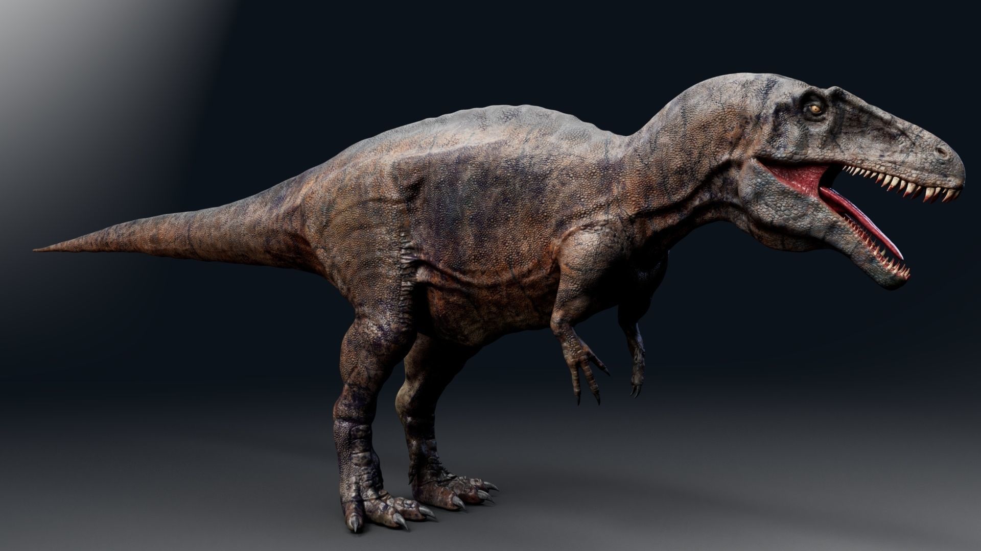 Dinosaur Acrocanthosaurus  Real Dinosaurs Series Low-poly 3D model_6