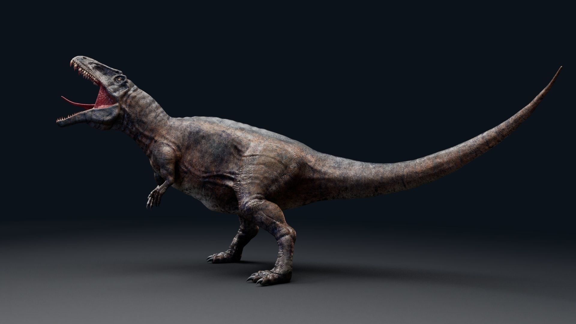 Dinosaur Acrocanthosaurus  Real Dinosaurs Series Low-poly 3D model_18