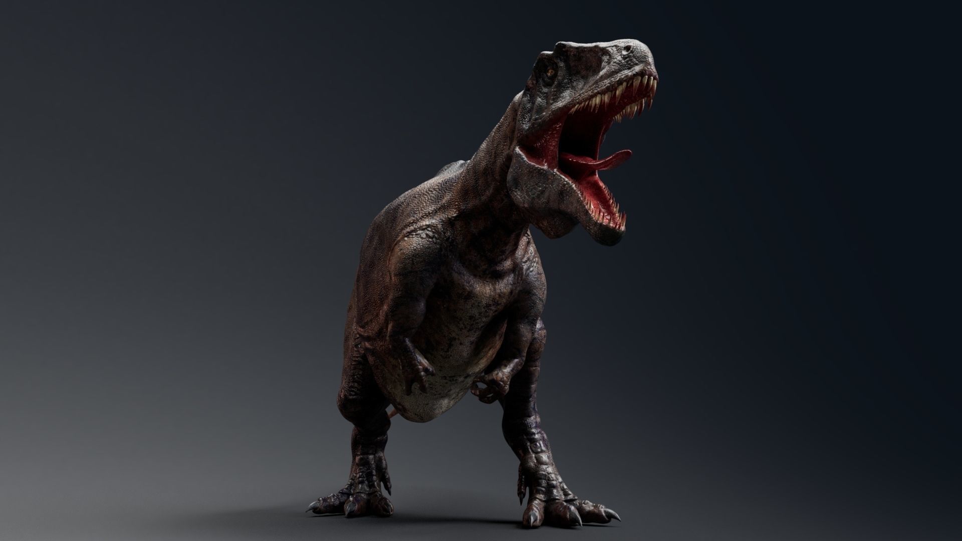 Dinosaur Acrocanthosaurus  Real Dinosaurs Series Low-poly 3D model_17