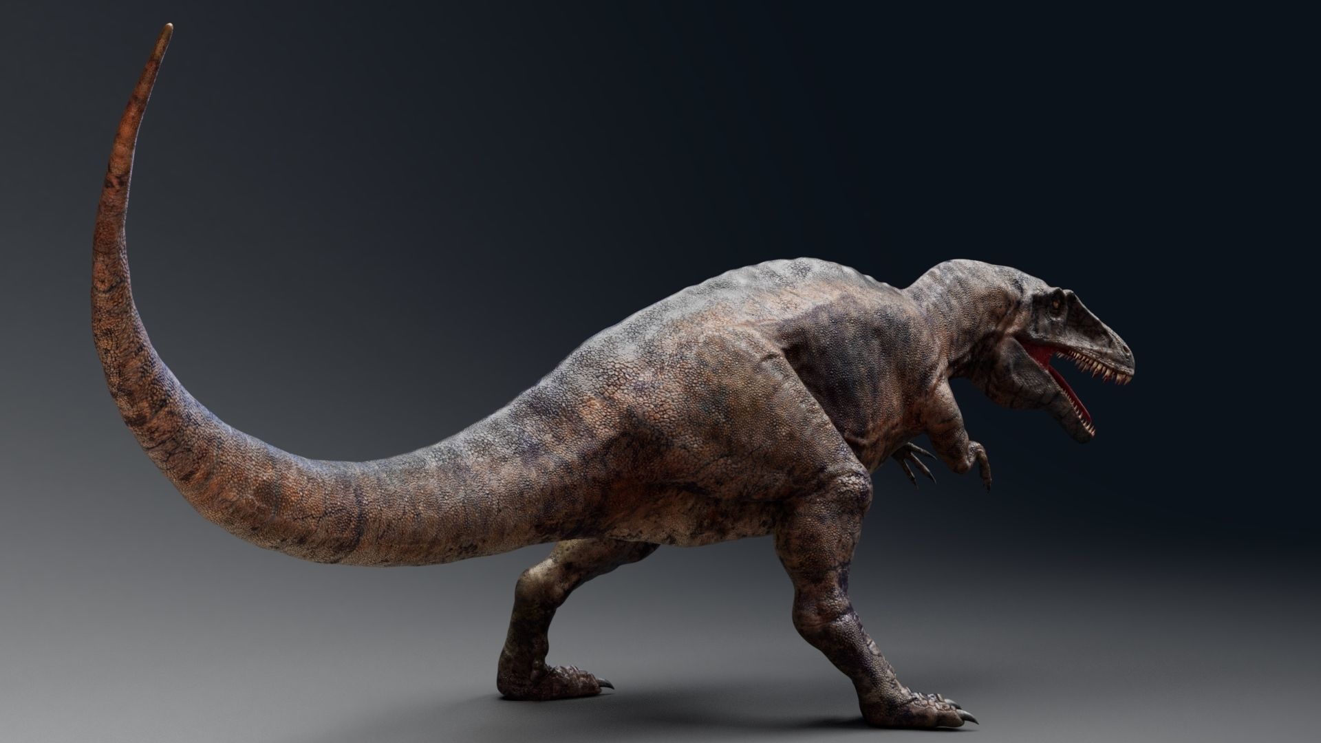 Dinosaur Acrocanthosaurus  Real Dinosaurs Series Low-poly 3D model_10