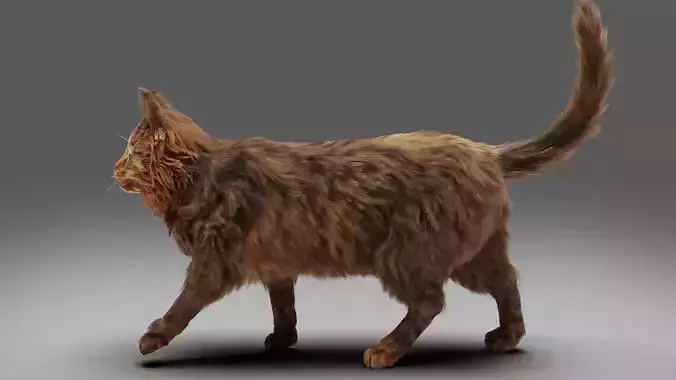 Fur Cat Grey NO Rigged