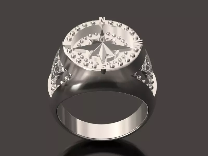 The Nordic Ring  3D print model_0