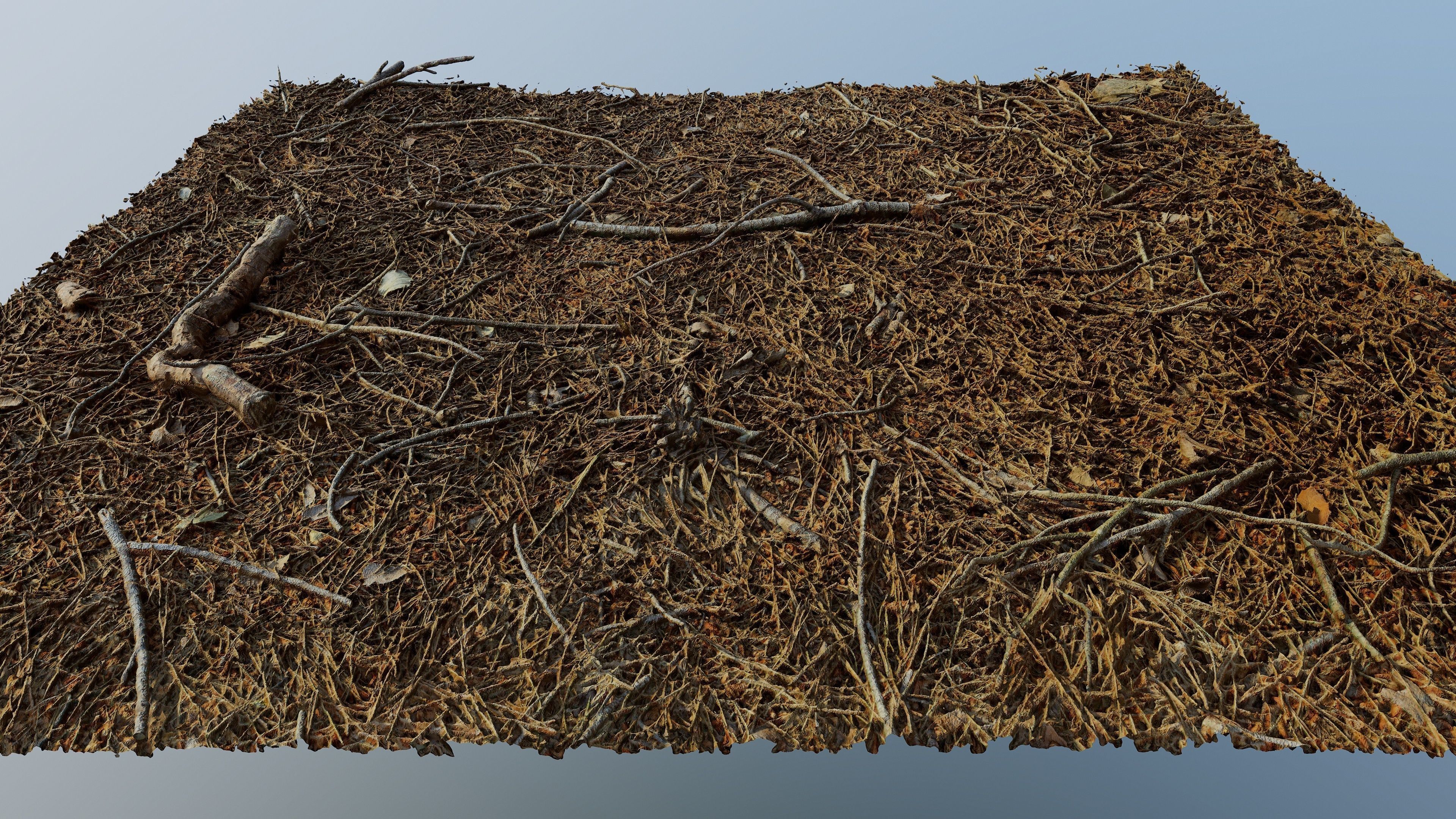 Forestground01 pile of pine needles 3D model_6