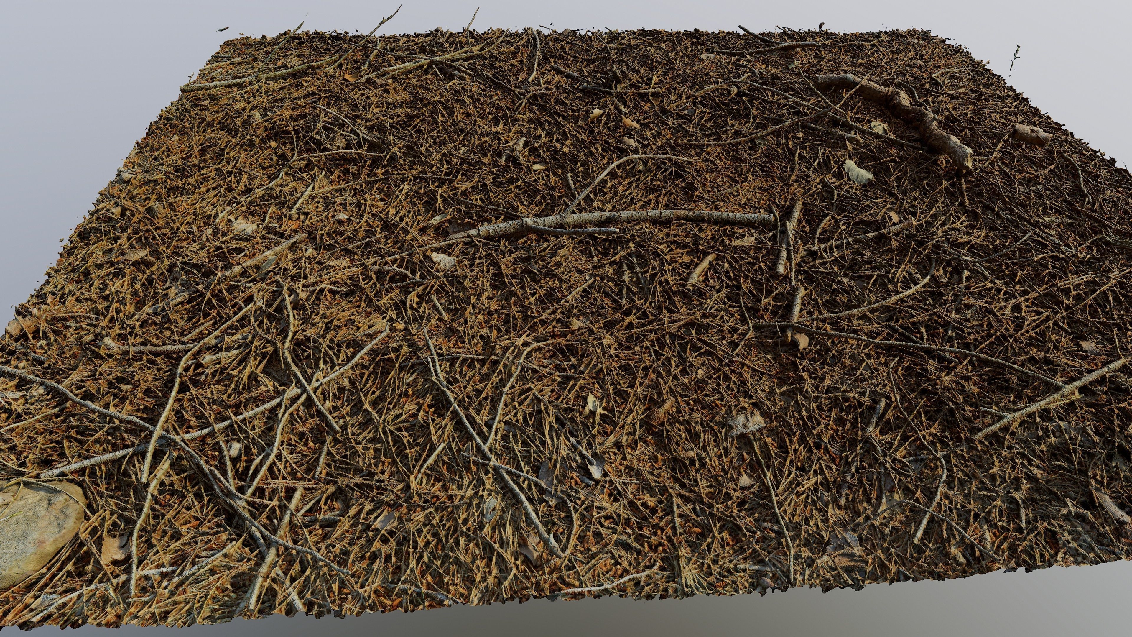 Forestground01 pile of pine needles 3D model_15
