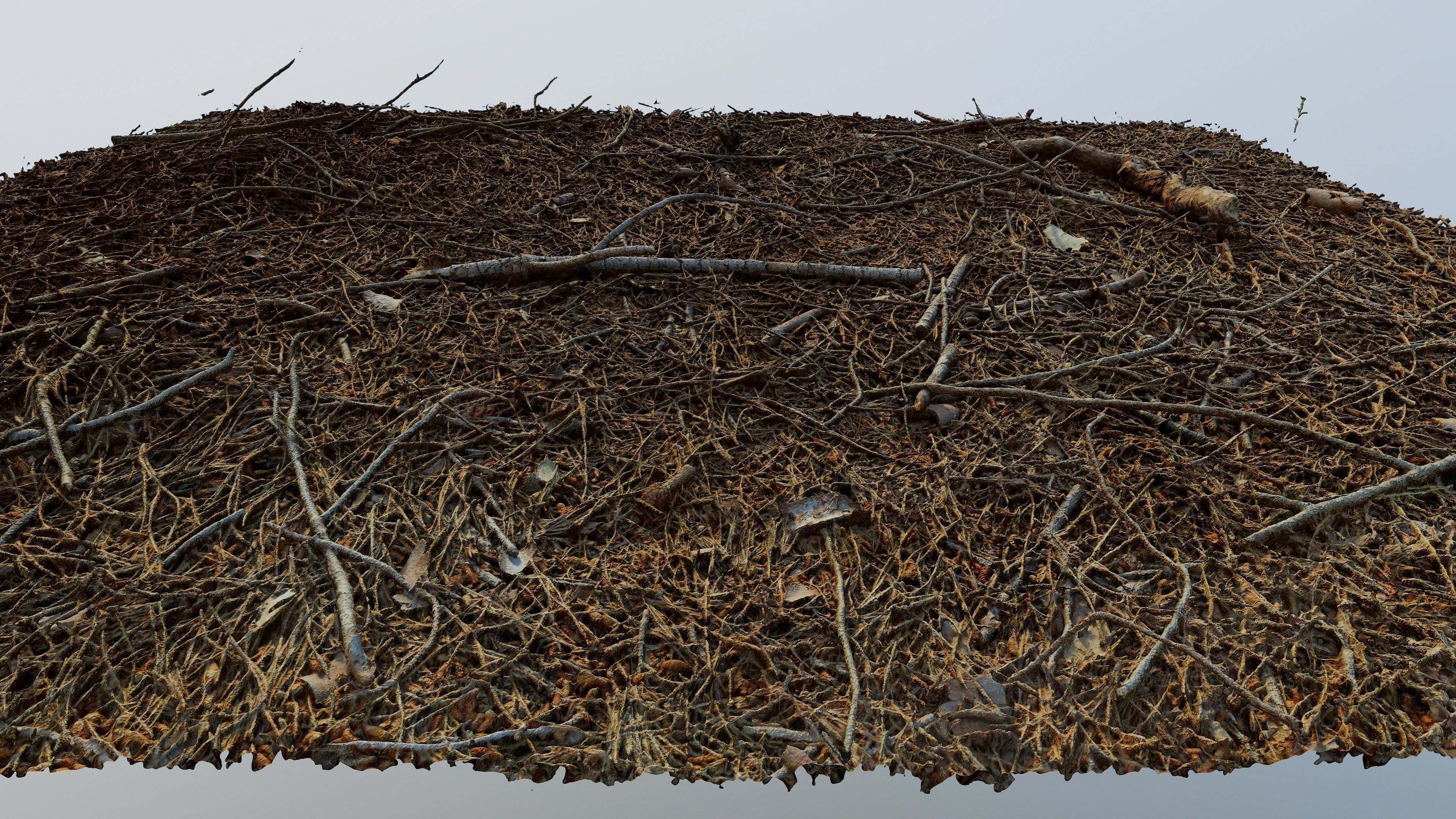 Forestground01 pile of pine needles 3D model_11