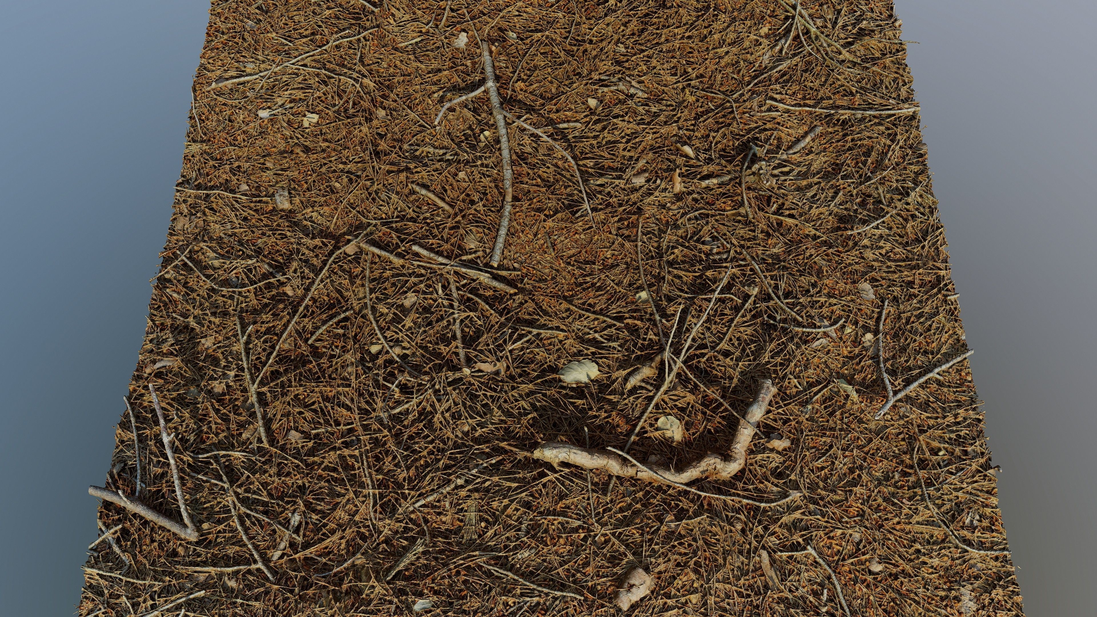 Forestground01 pile of pine needles 3D model_16