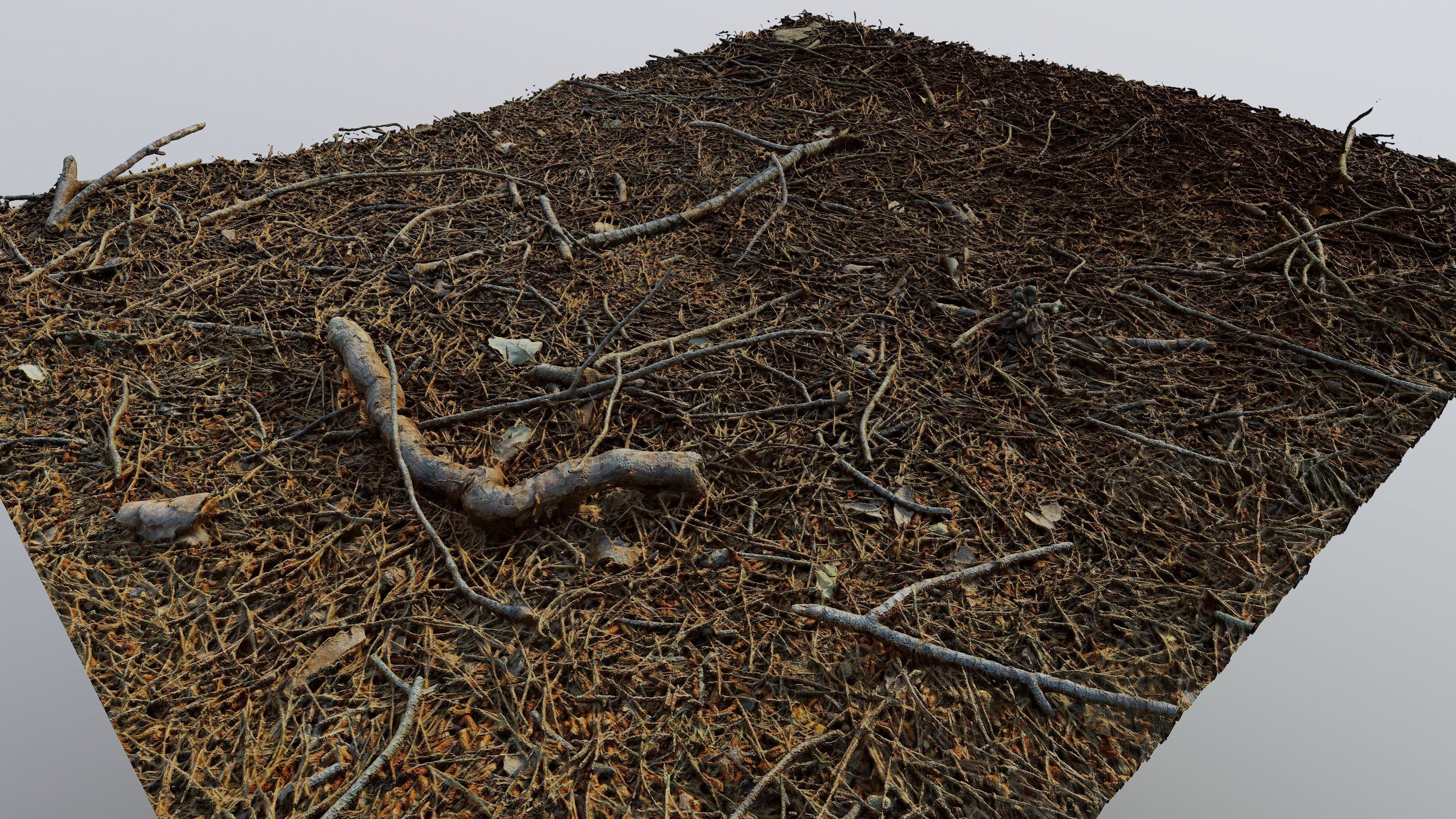 Forestground01 pile of pine needles 3D model_8