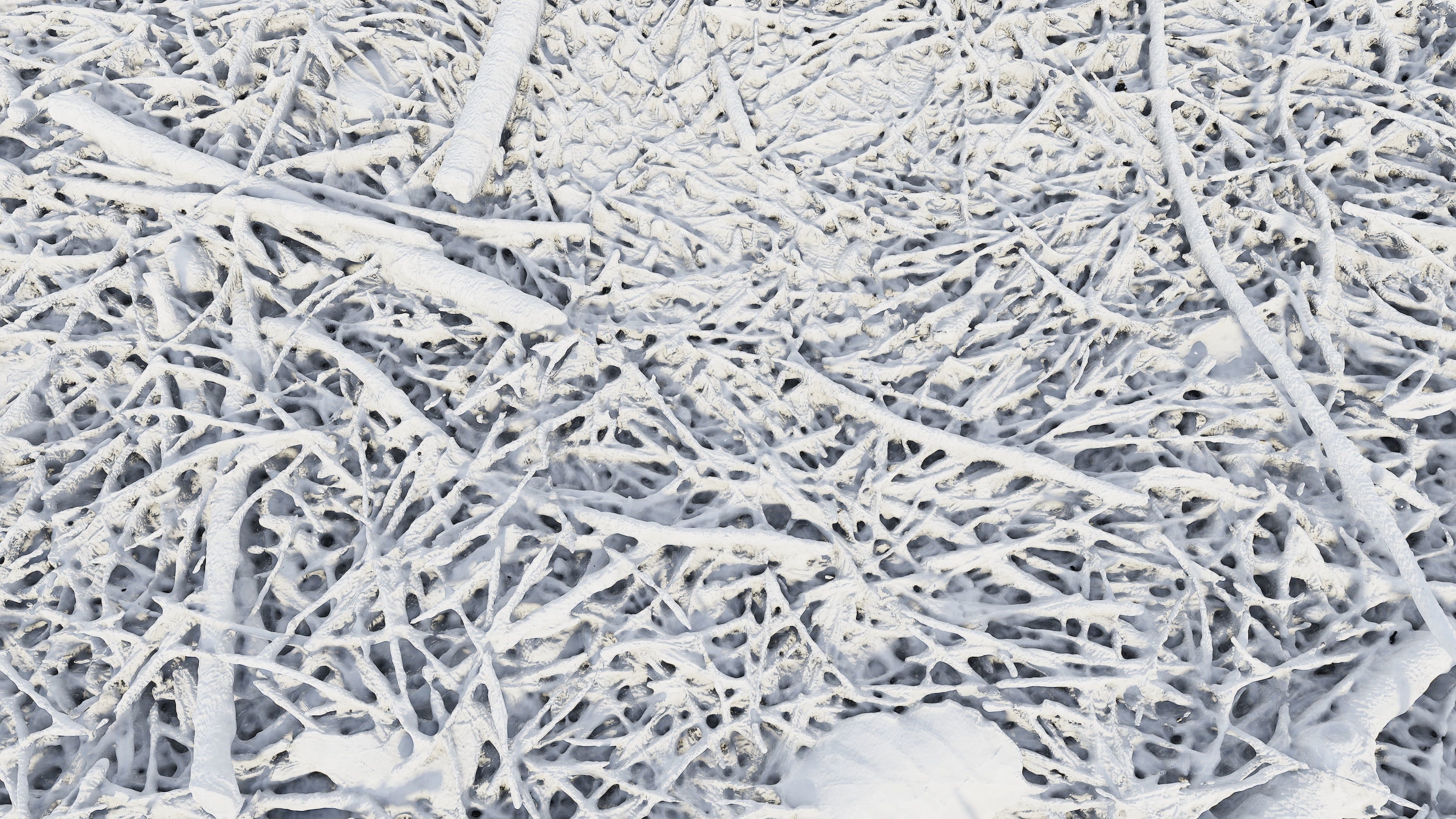 Forestground01 pile of pine needles 3D model_18