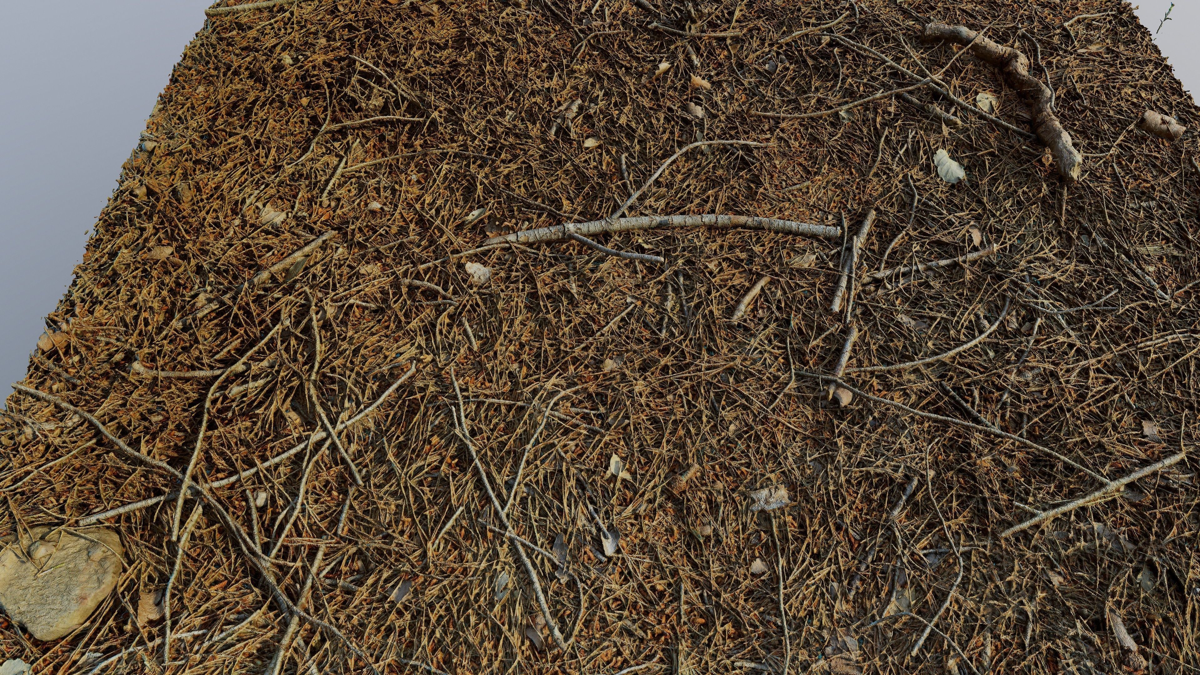 Forestground01 pile of pine needles 3D model_4