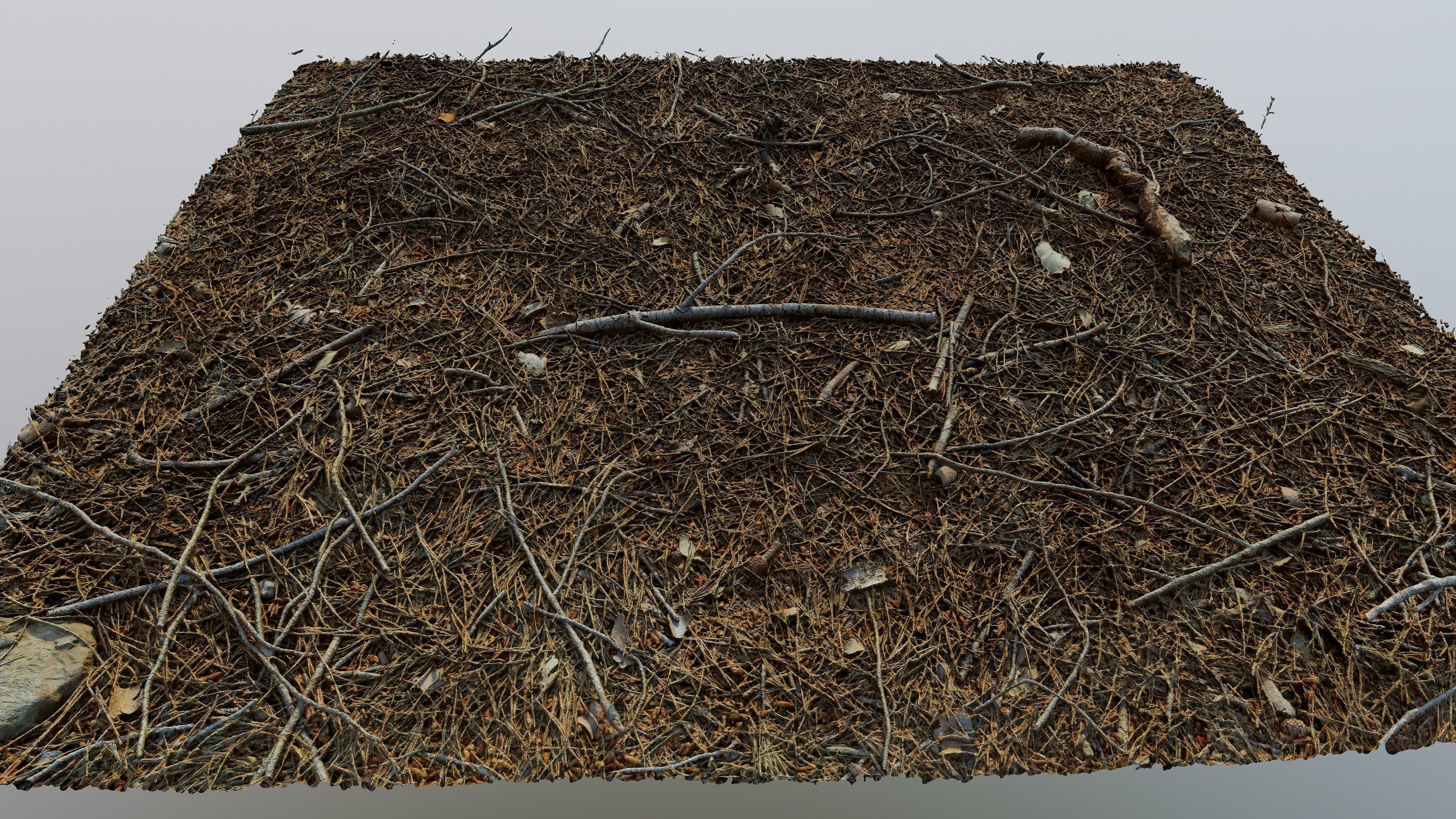Forestground01 pile of pine needles 3D model_1
