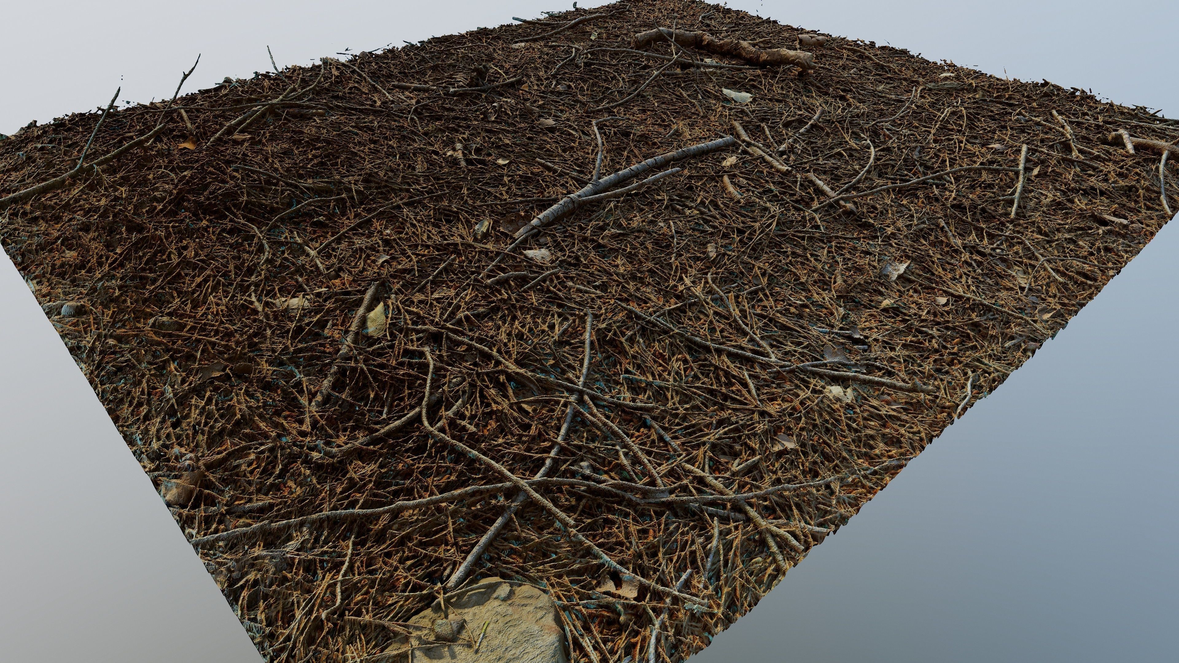 Forestground01 pile of pine needles 3D model_2