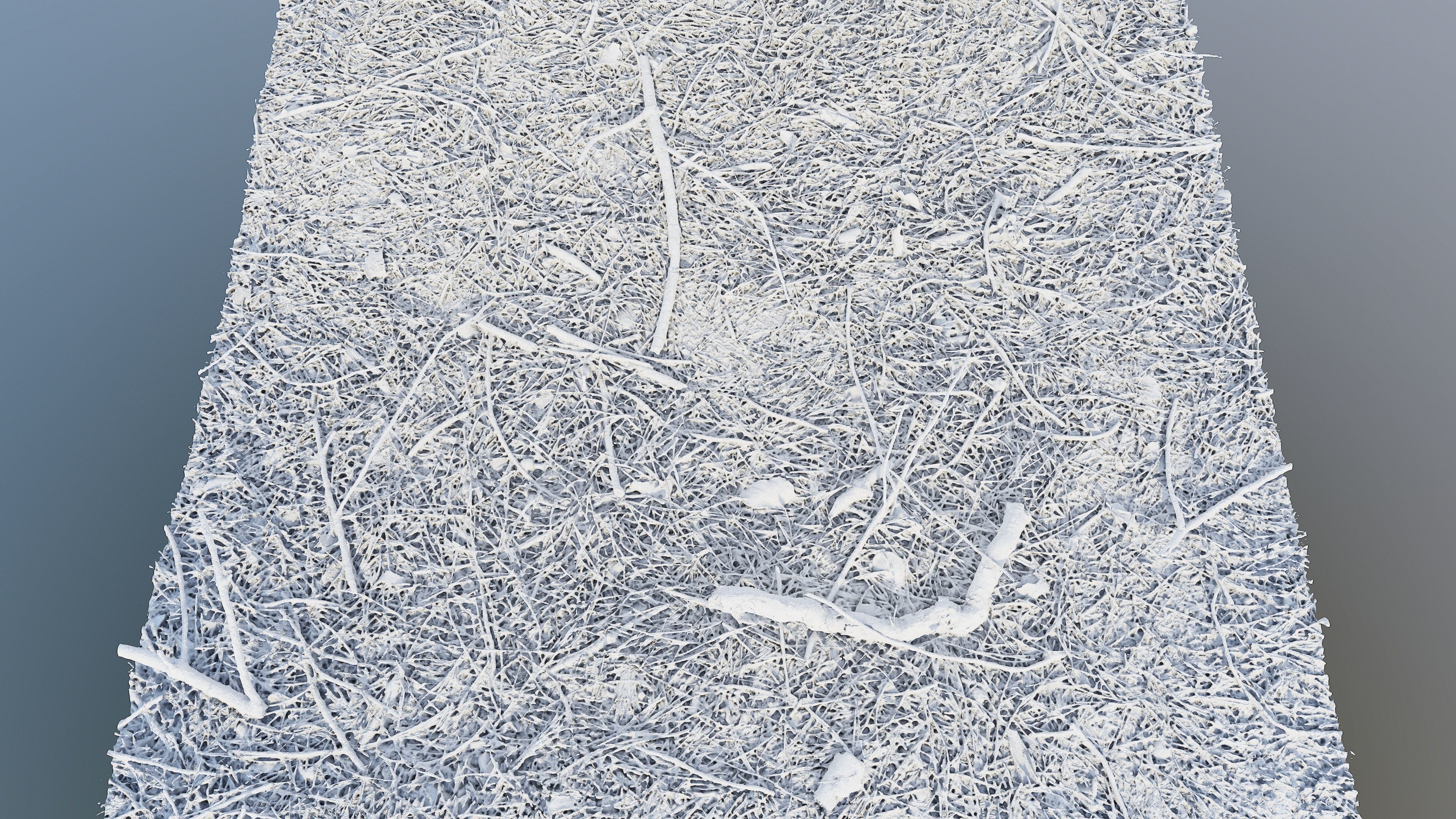 Forestground01 pile of pine needles 3D model_17