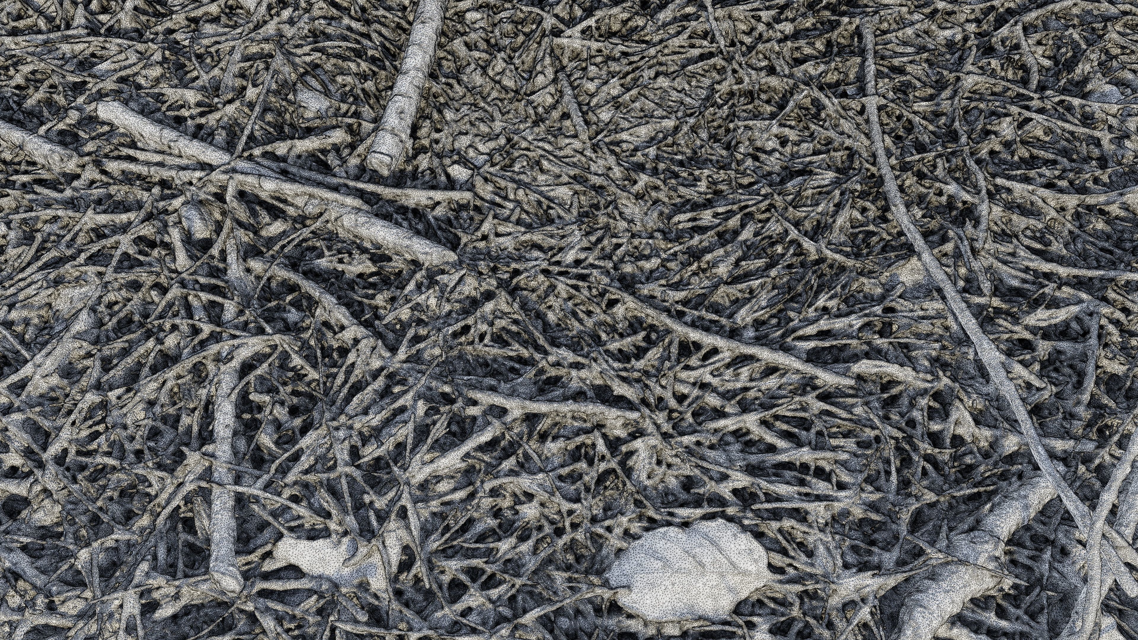 Forestground01 pile of pine needles 3D model_21