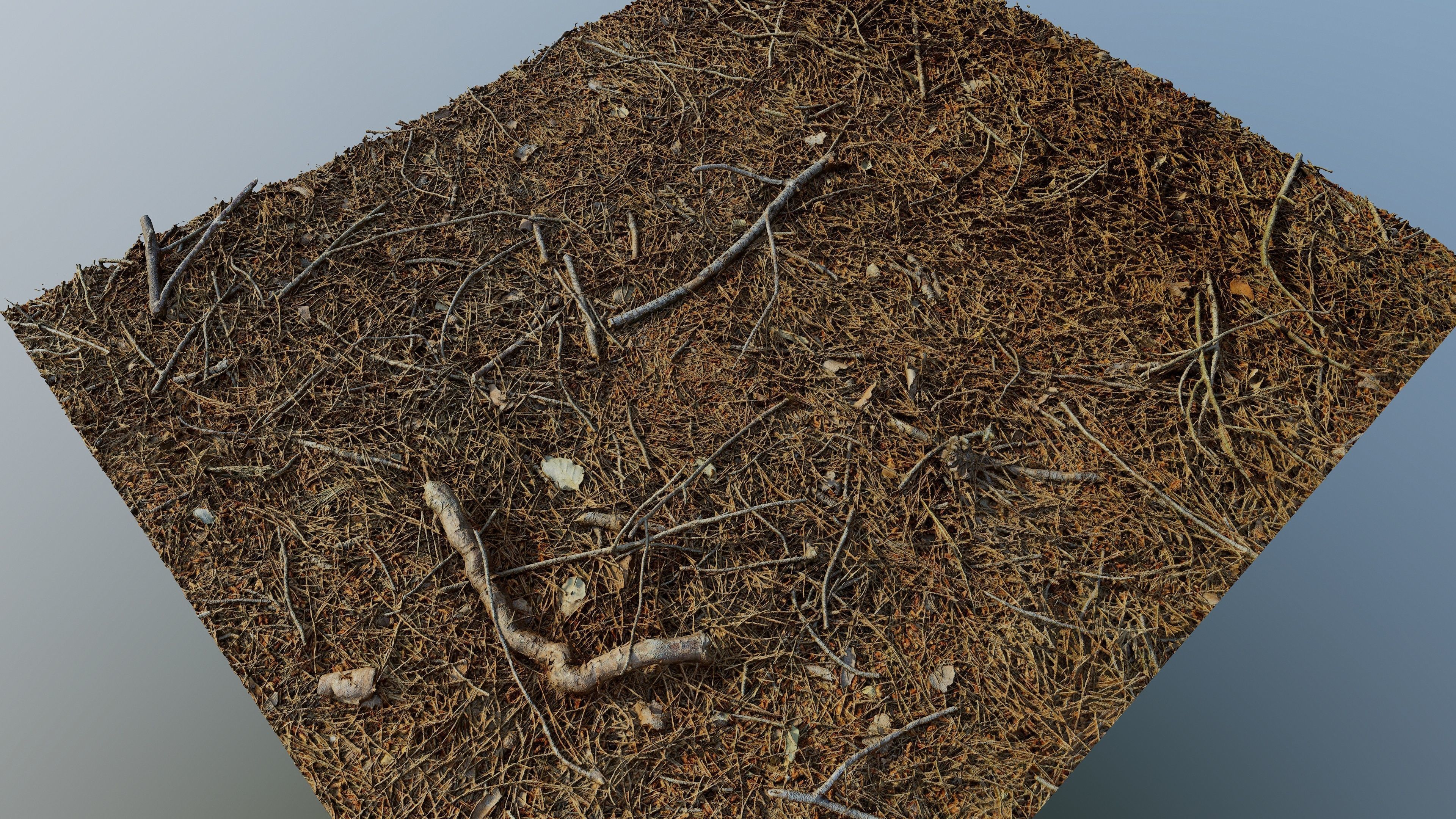 Forestground01 pile of pine needles 3D model_9