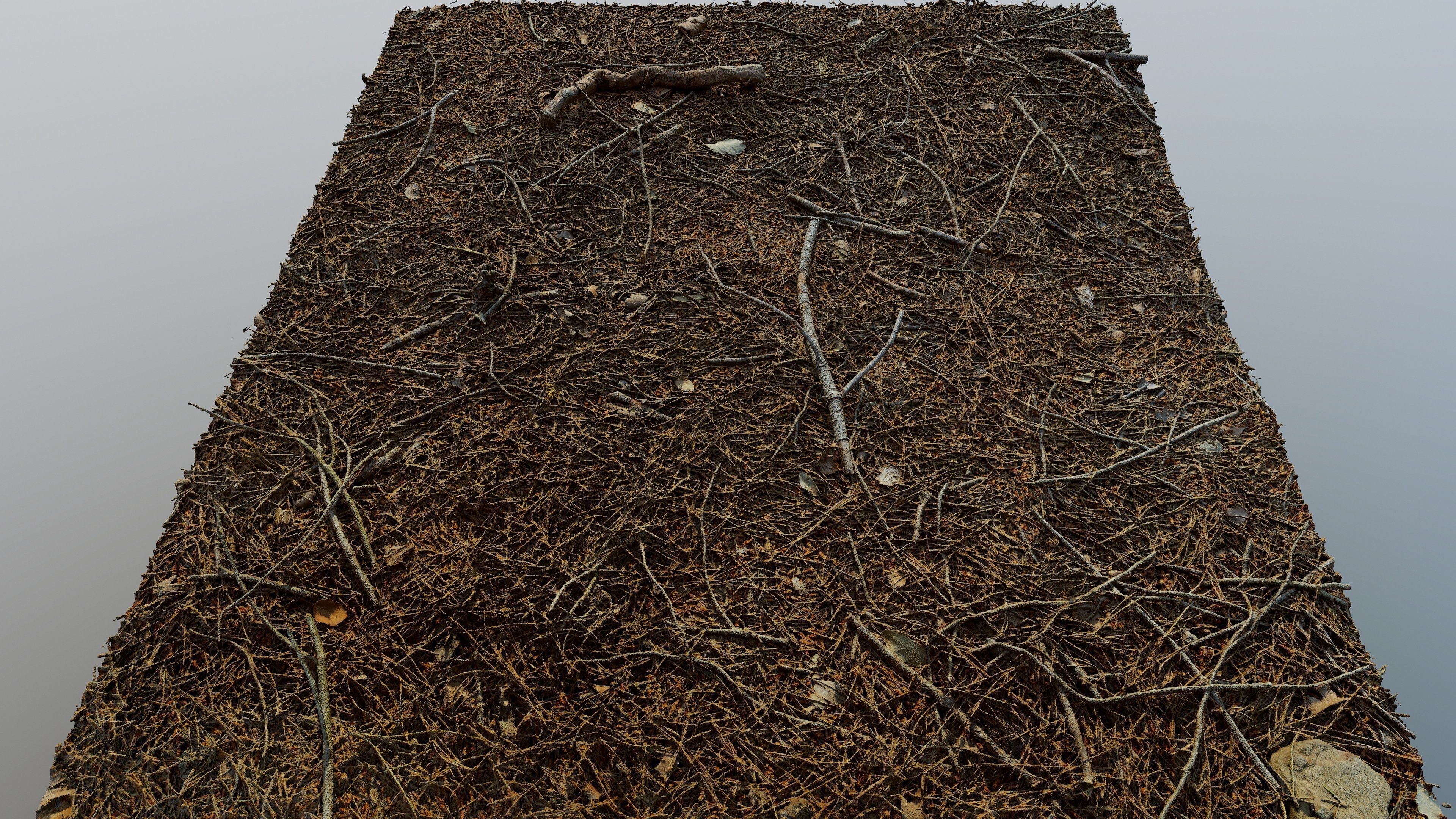 Forestground01 pile of pine needles 3D model_14