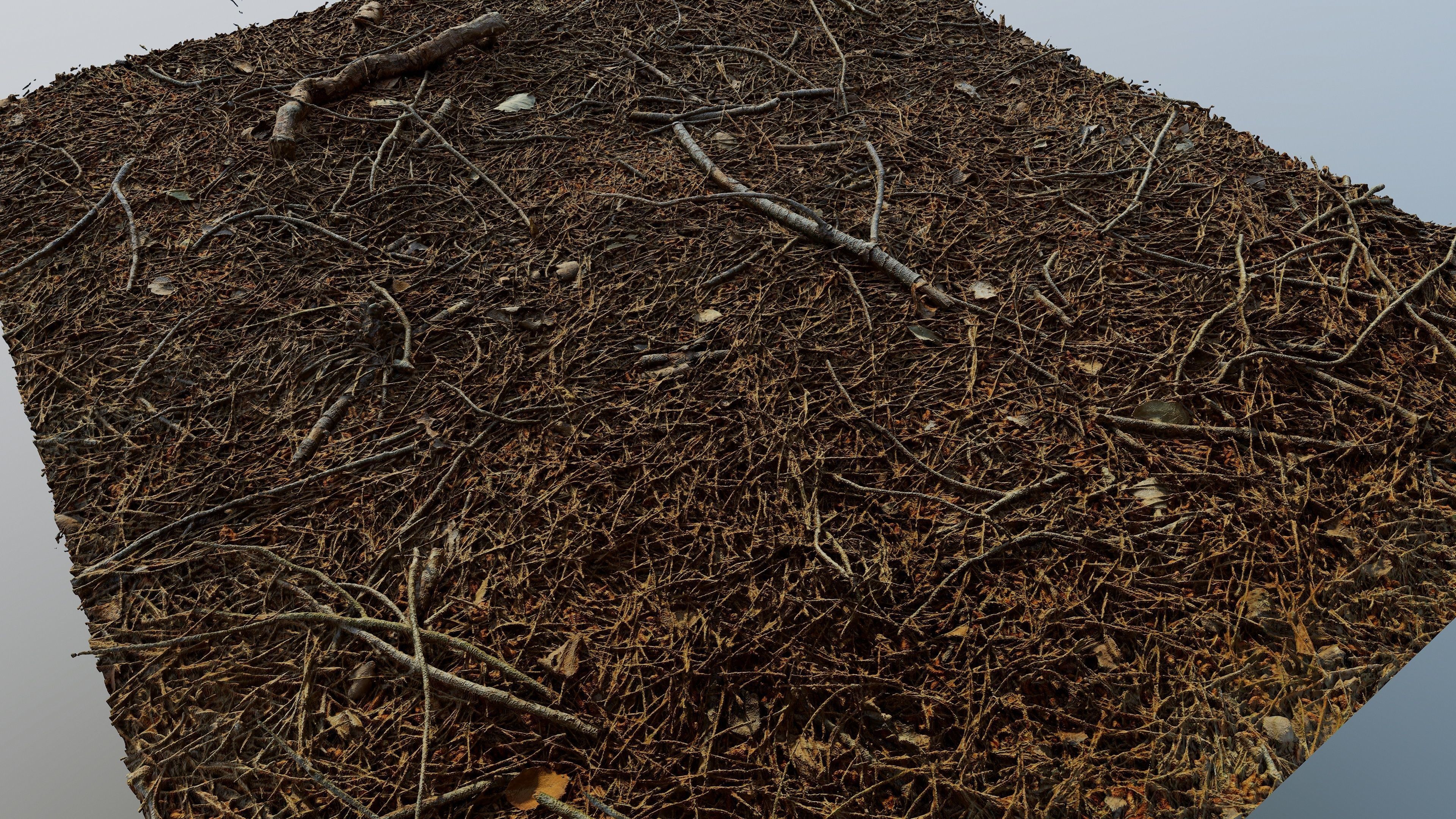 Forestground01 pile of pine needles 3D model_5
