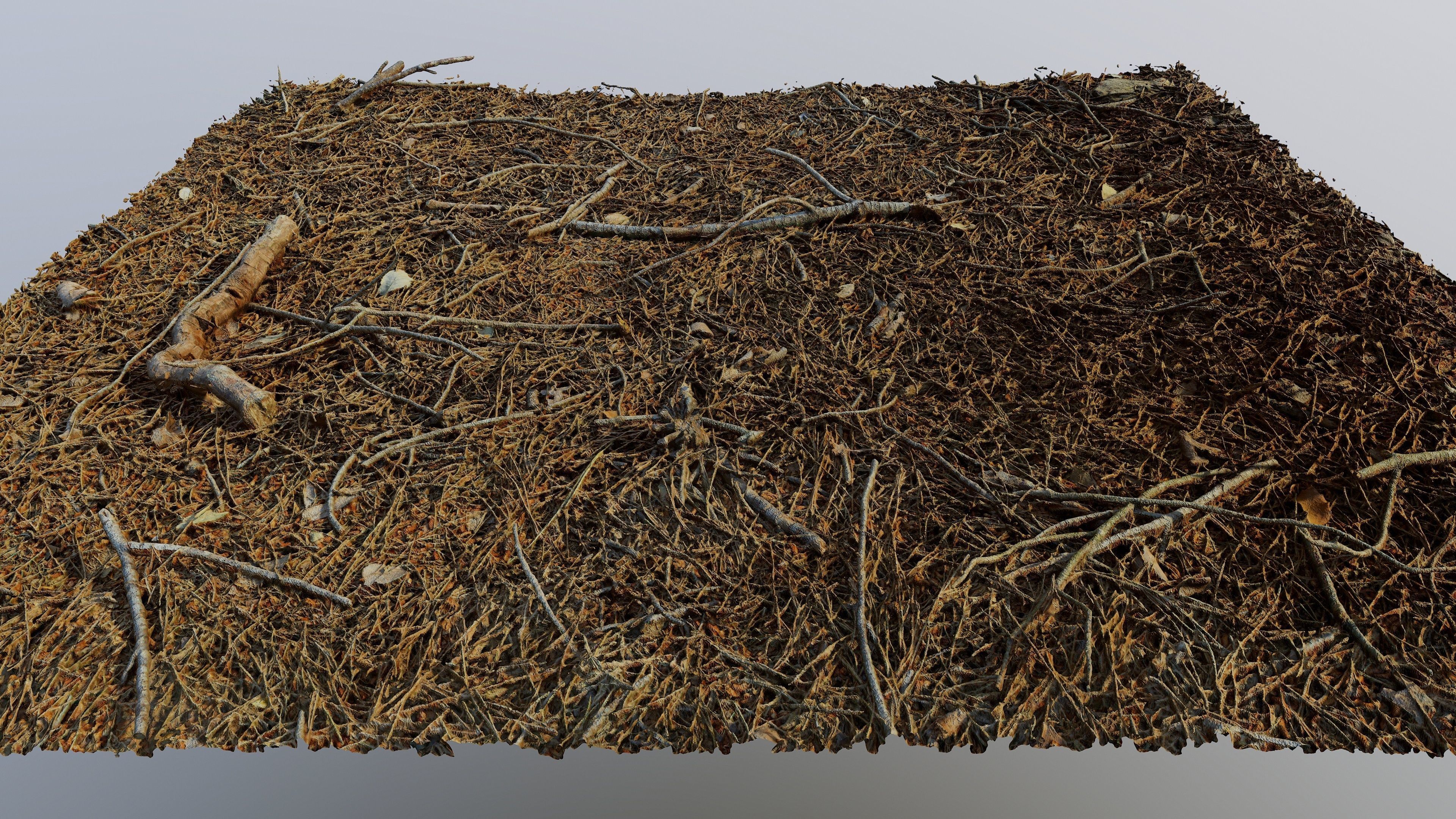Forestground01 pile of pine needles 3D model_7