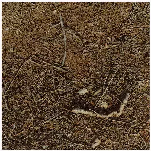 Forestground01 pile of pine needles