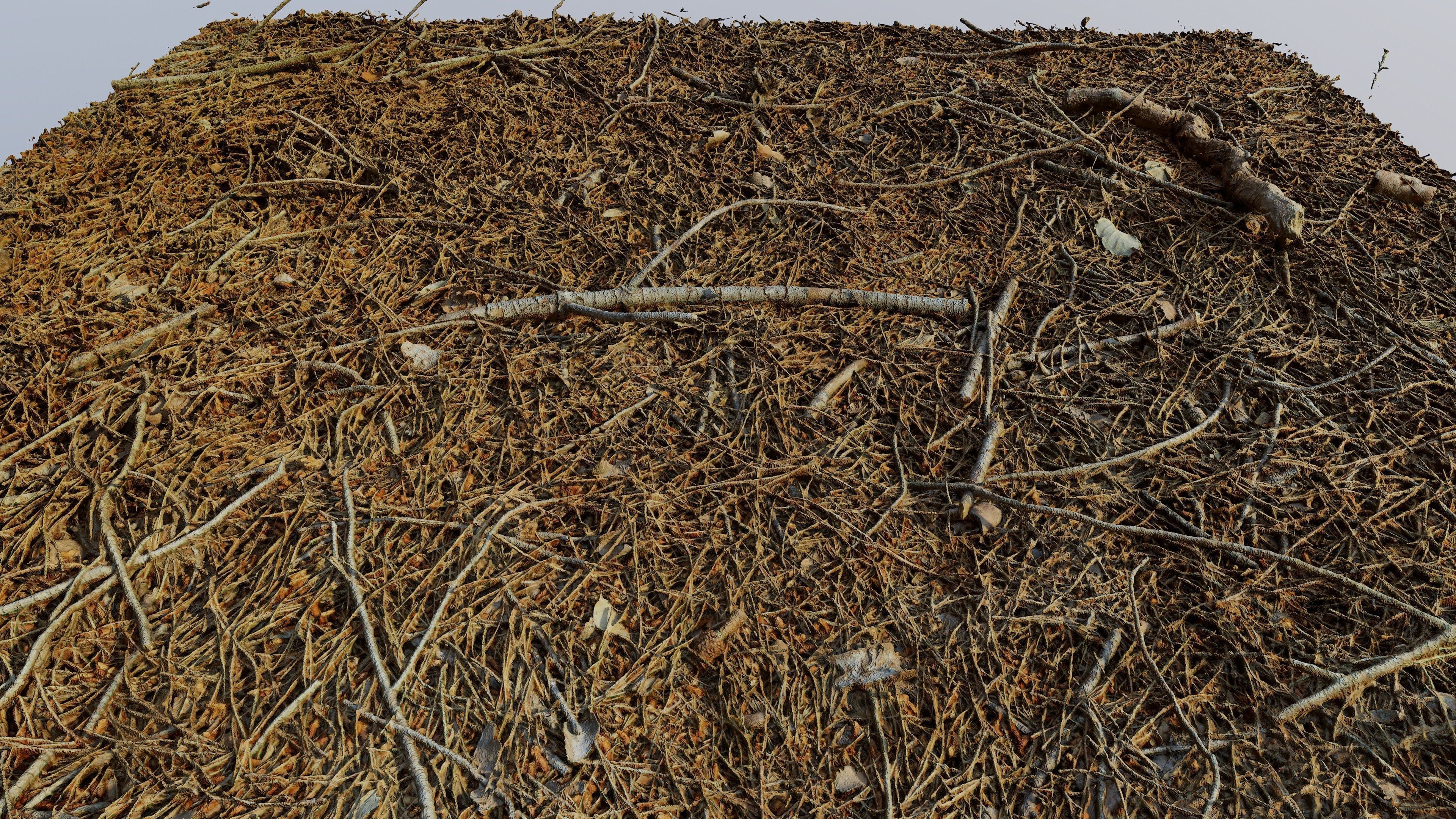 Forestground01 pile of pine needles 3D model_12