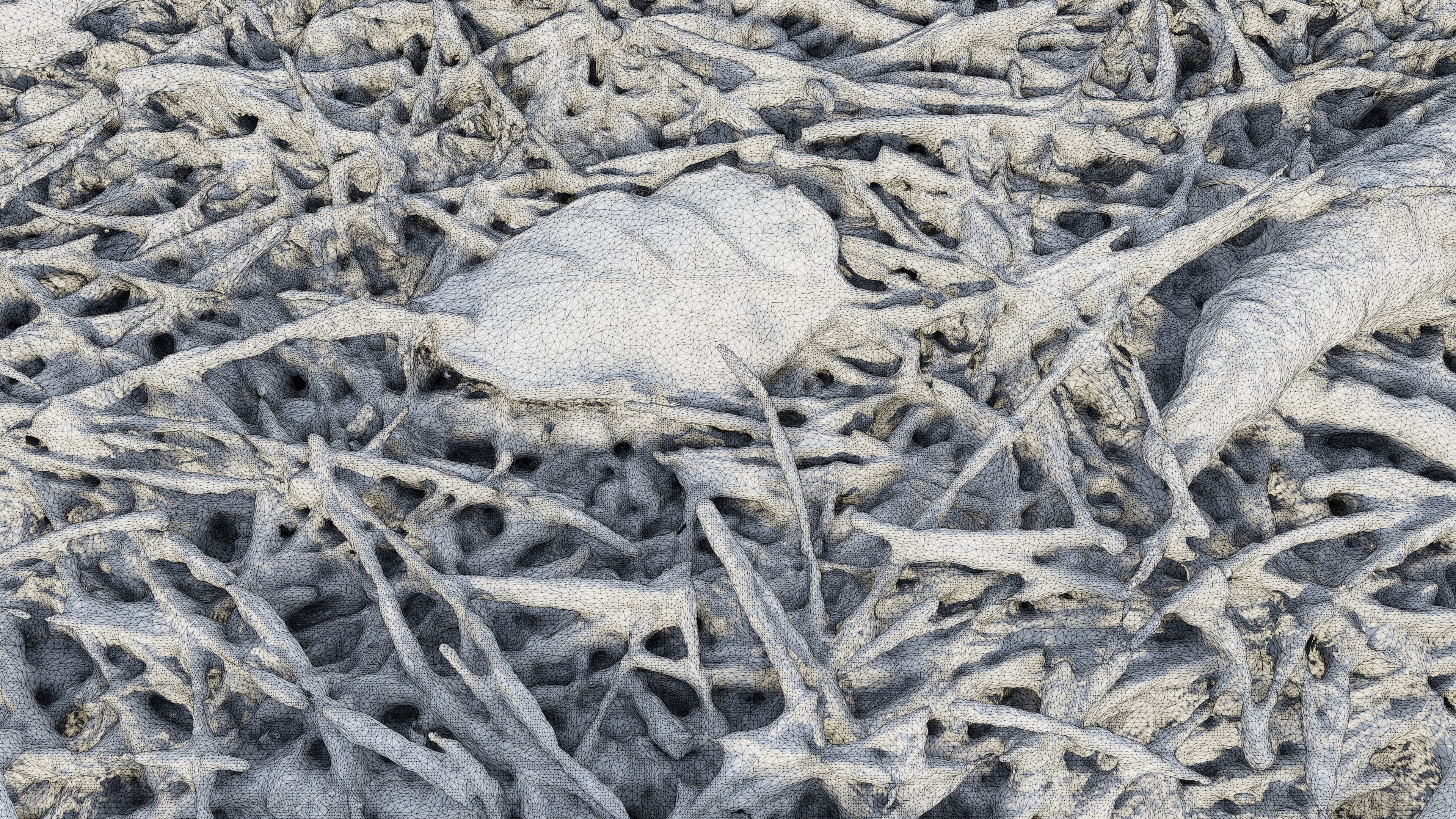 Forestground01 pile of pine needles 3D model_22