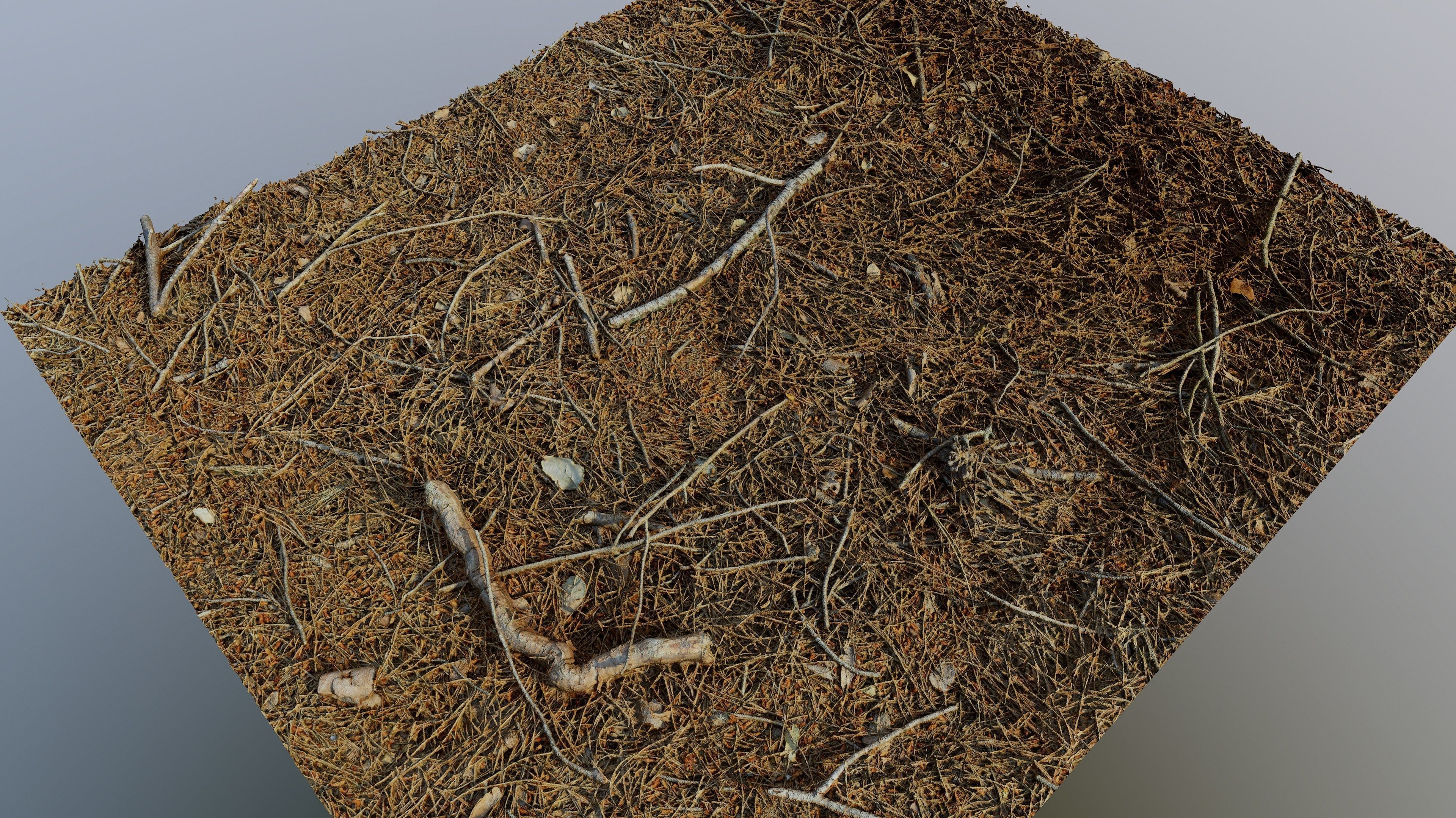 Forestground01 pile of pine needles 3D model_10