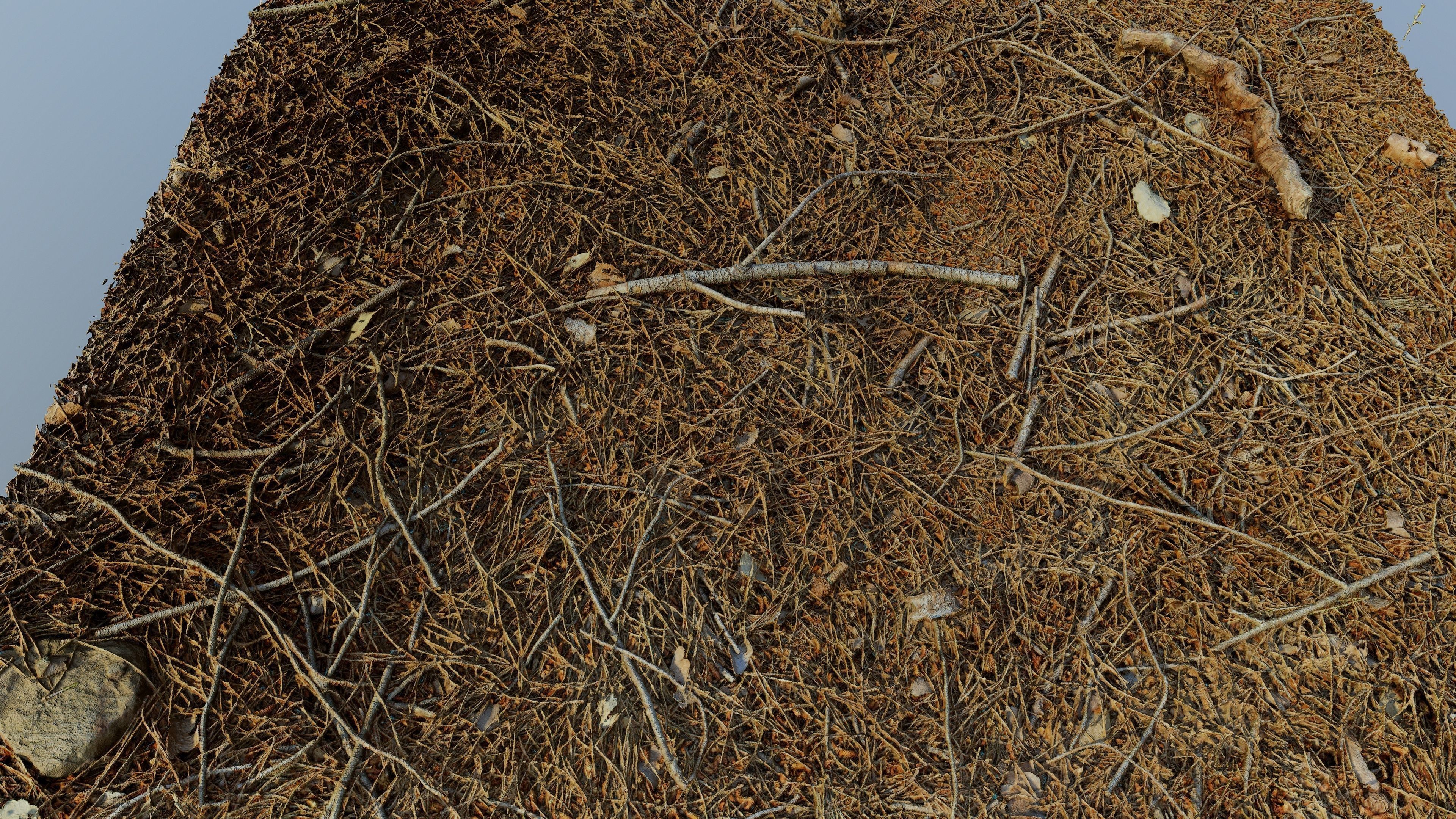 Forestground01 pile of pine needles 3D model_3