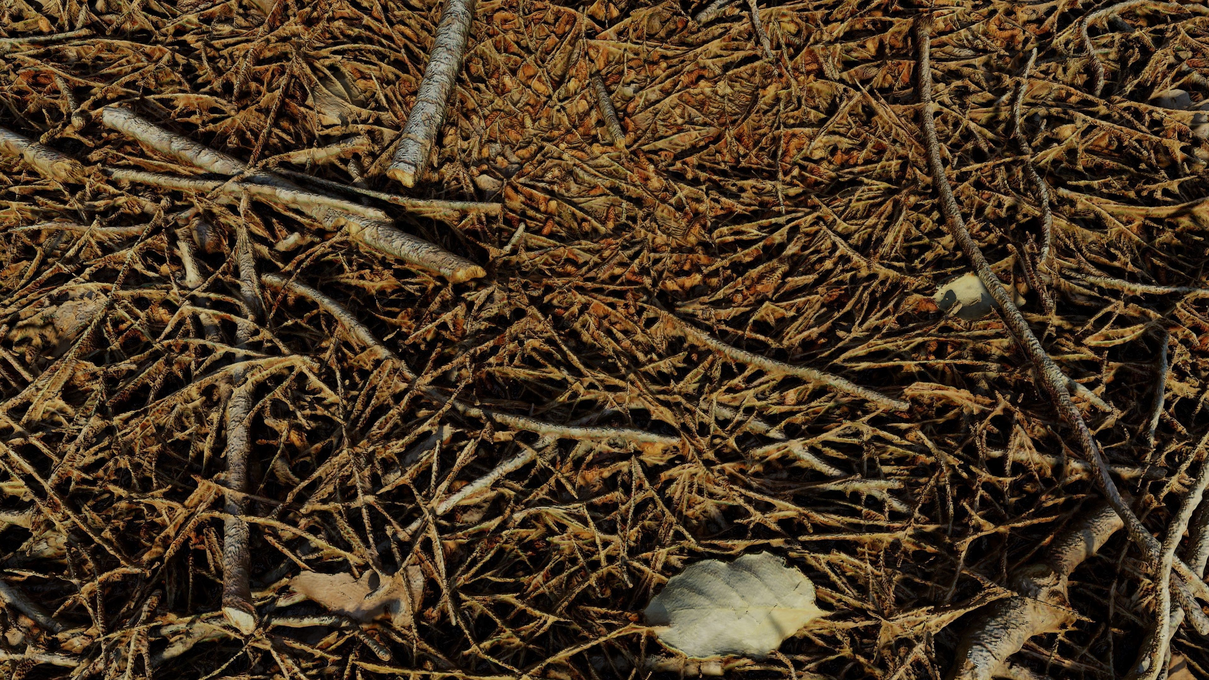 Forestground01 pile of pine needles 3D model_19