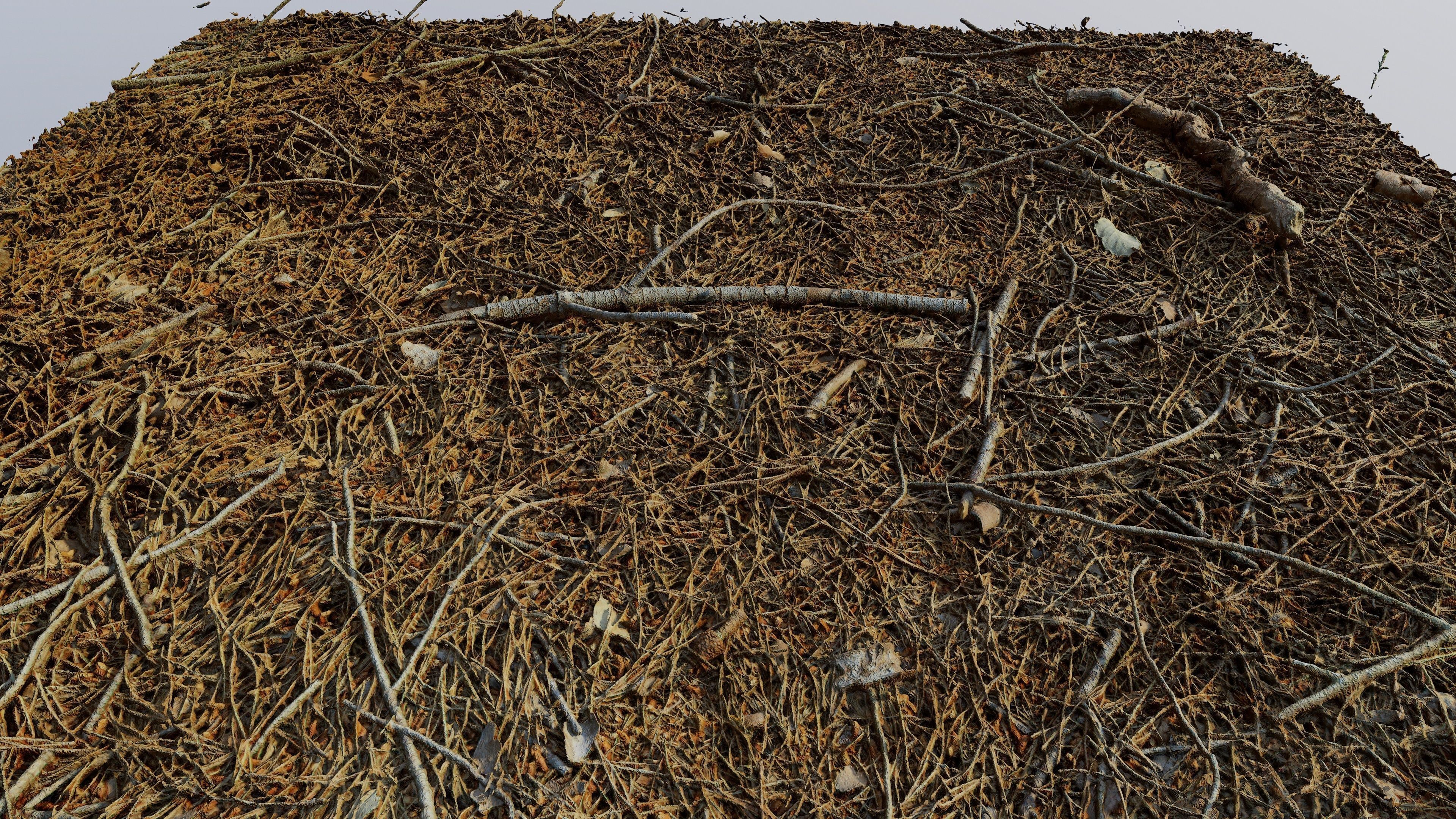 Forestground01 pile of pine needles 3D model_13