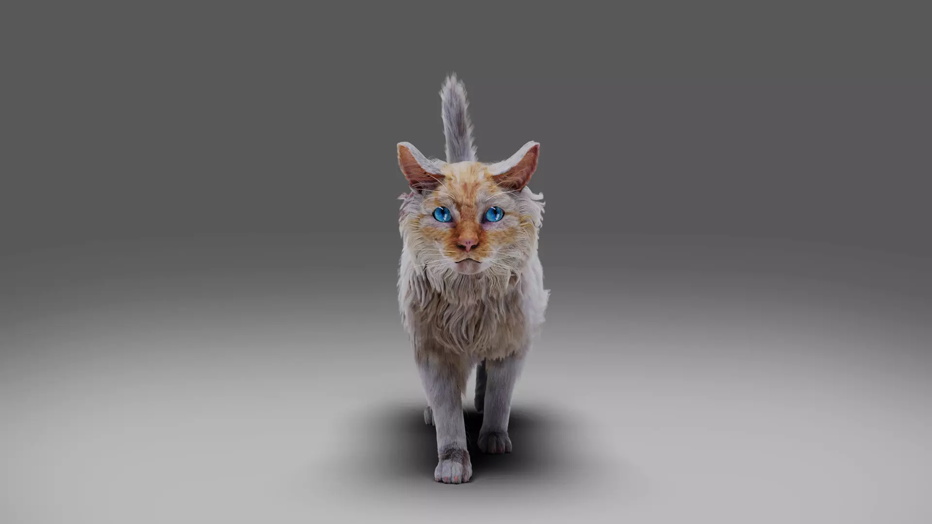 Fur Cat White NO Rigged Low-poly 3D model