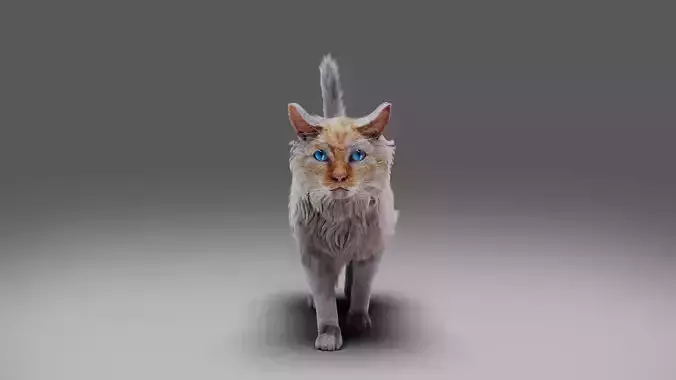 Fur Cat White NO Rigged