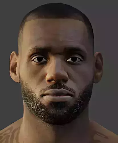REALISTIC LEBRON JAMES