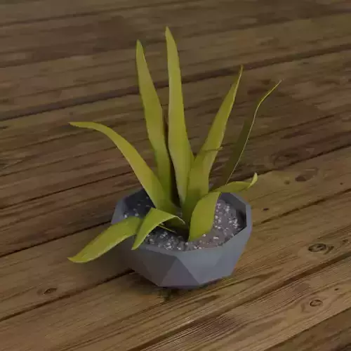 Low poly Vase aloe vera plant