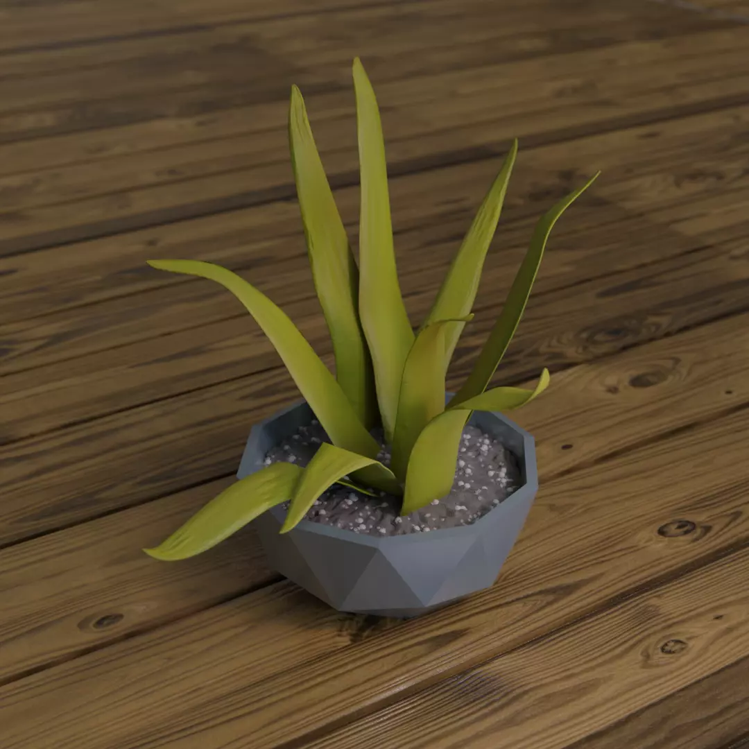 Low poly Vase aloe vera plant 3D model_0