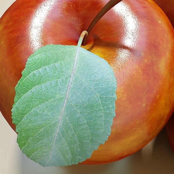Red Apple High Detail 3D model_6