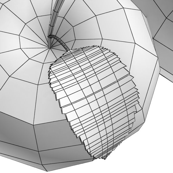 Red Apple High Detail 3D model_12