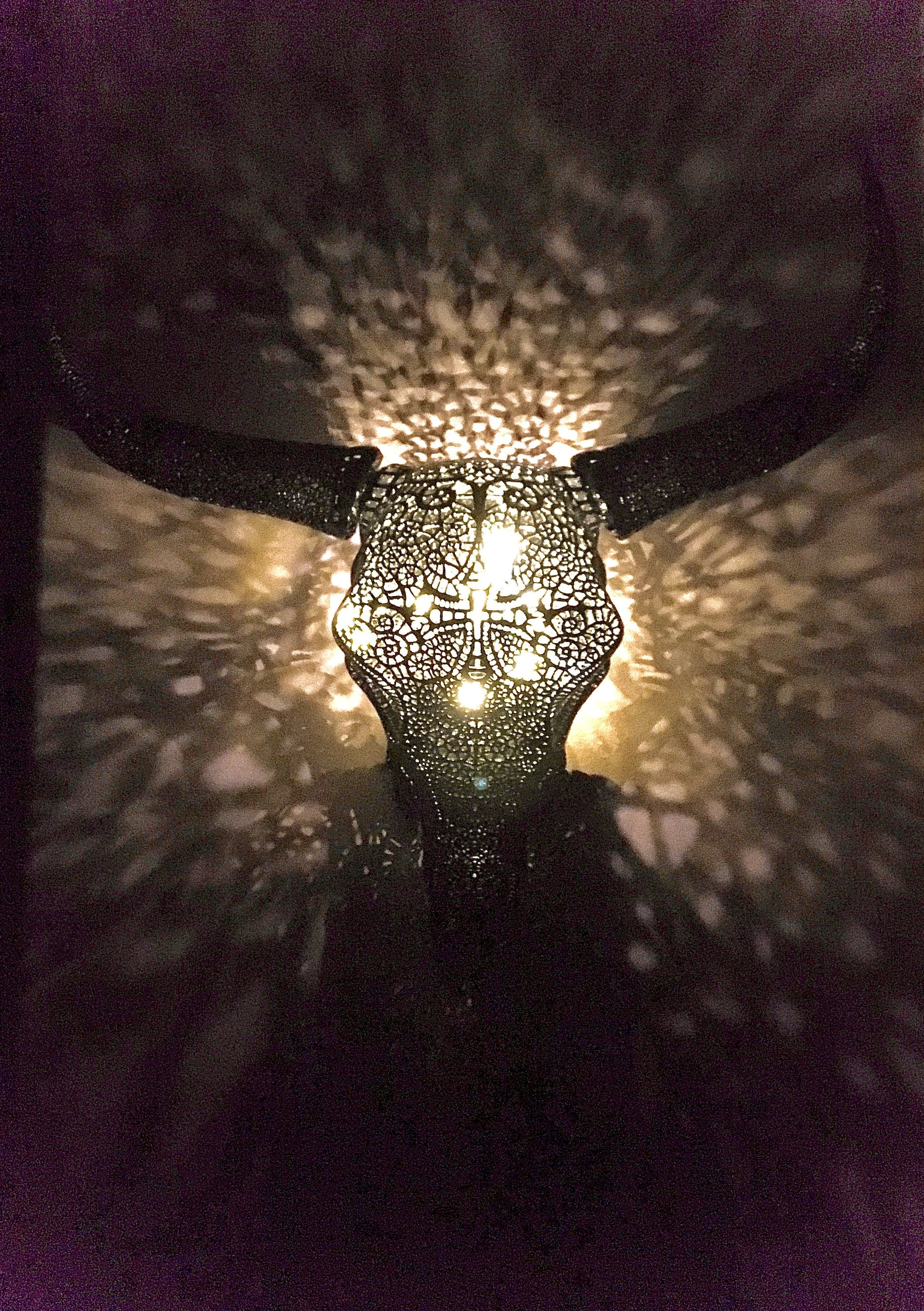 Filigree Bull Skull 3D print model_1