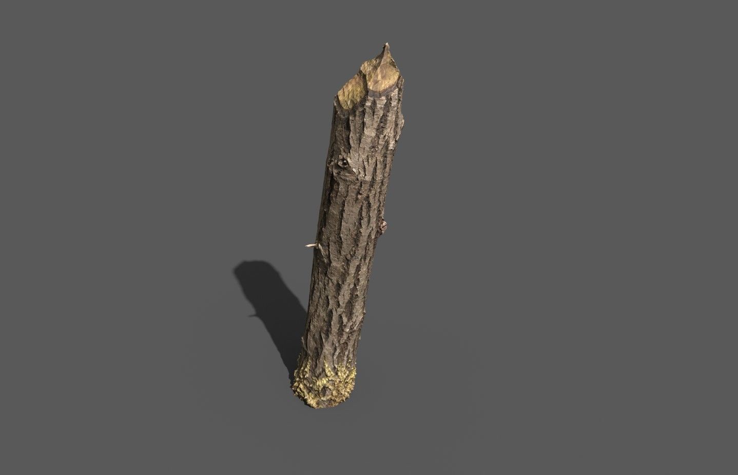 Beaver bitten willow tree stumps pack 3D model_31