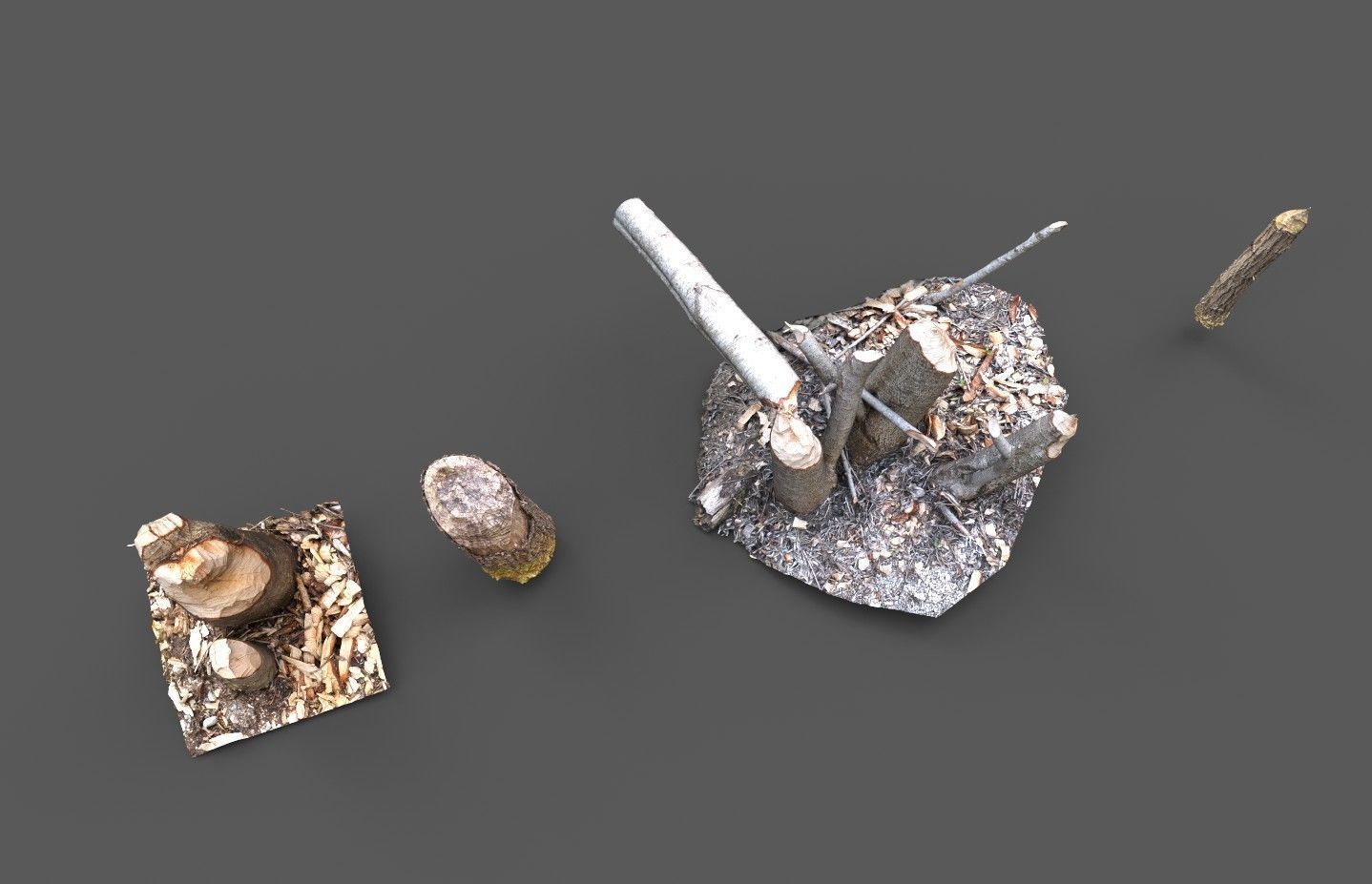 Beaver bitten willow tree stumps pack 3D model_8