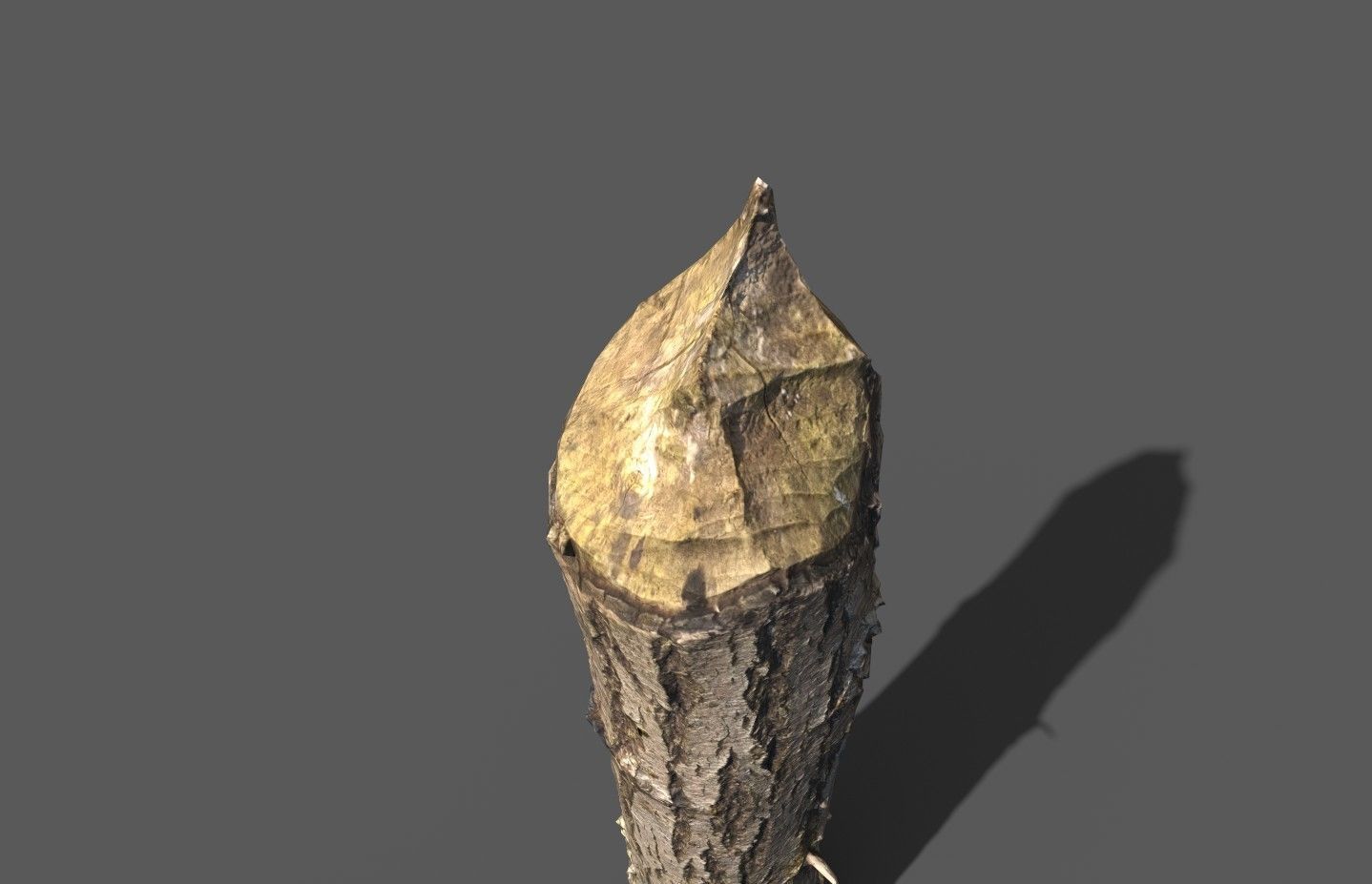 Beaver bitten willow tree stumps pack 3D model_34