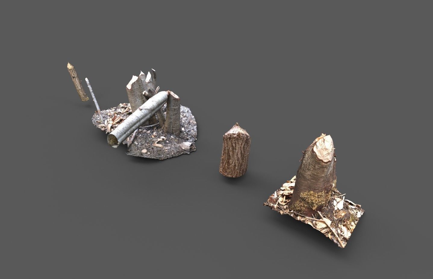 Beaver bitten willow tree stumps pack 3D model_6