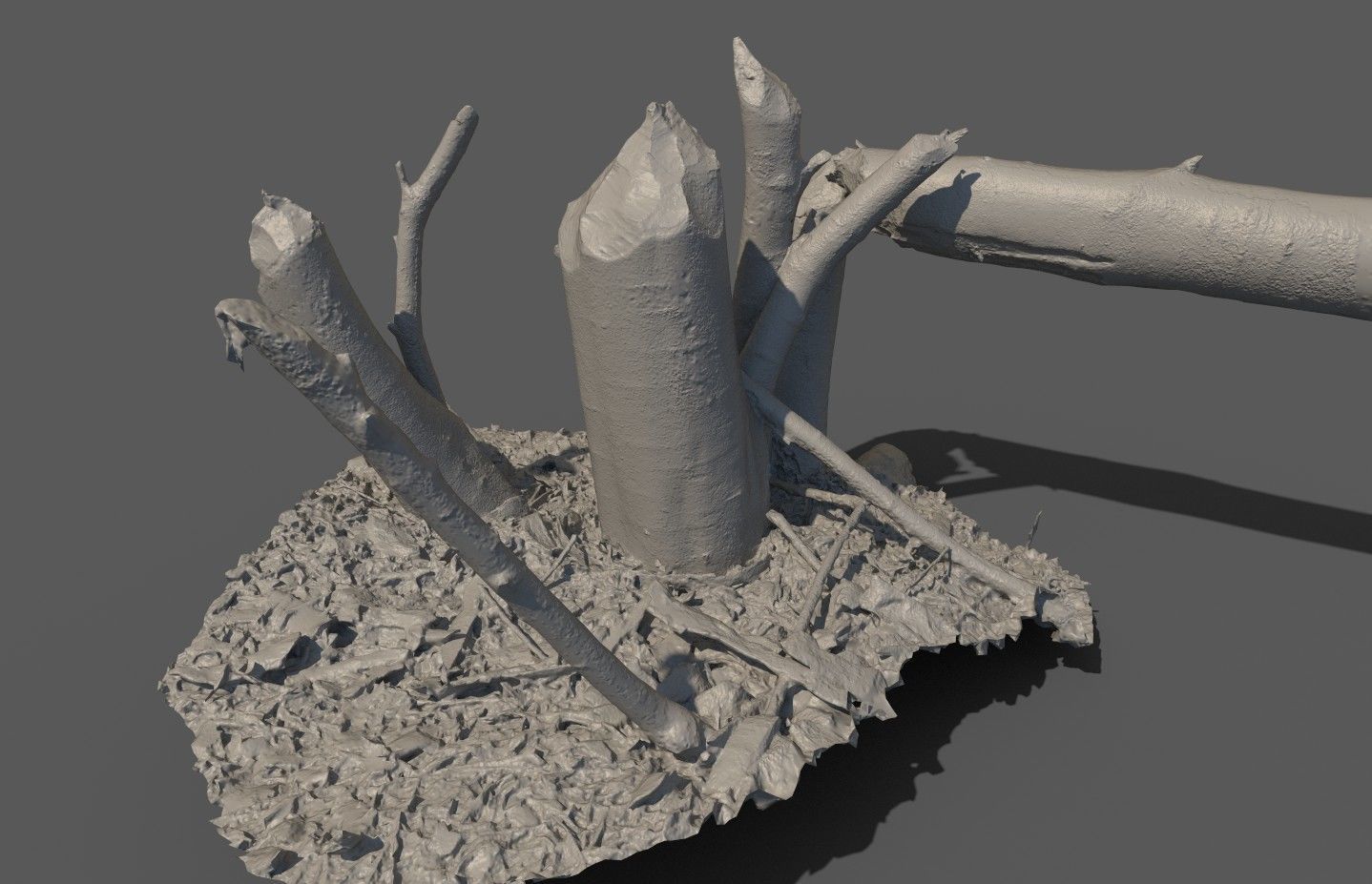 Beaver bitten willow tree stumps pack 3D model_45