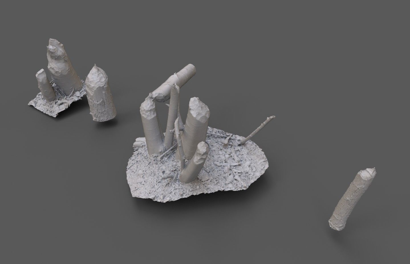 Beaver bitten willow tree stumps pack 3D model_36