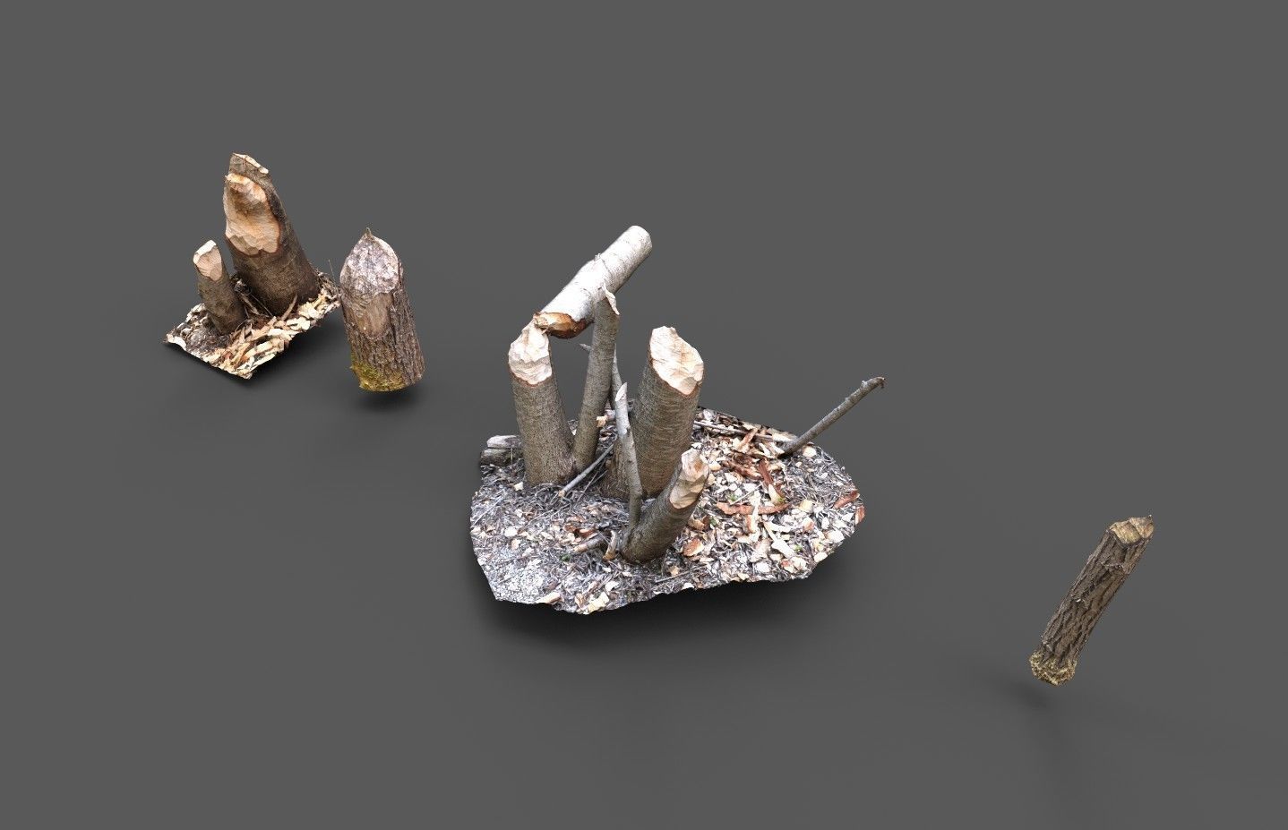 Beaver bitten willow tree stumps pack 3D model_3